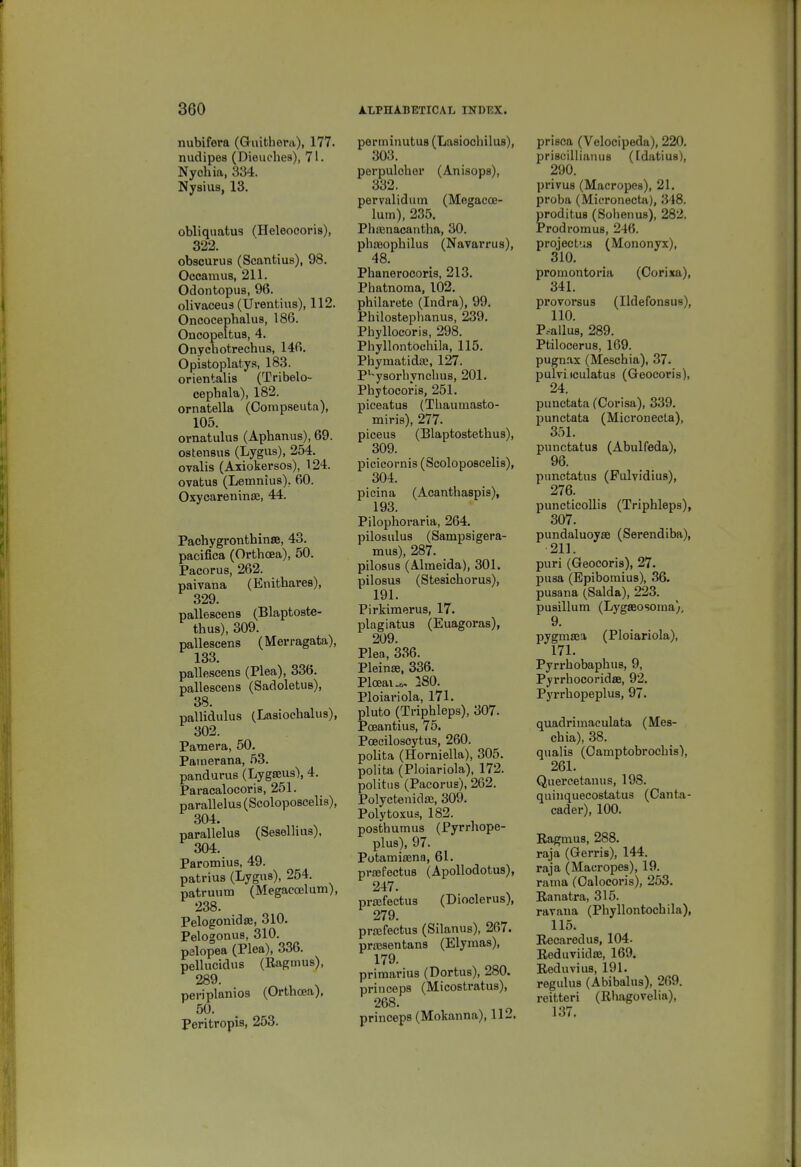 nubifera (Guithera), 177. nudipes (Dieuches), 71. Nyohia, 334. Nysius, 13. obliquatus (Heleocoris), 322. obscurus (Scantius), 98. Occamus, 211. Odontopus, 96. olivaceu9(Urentius), 112. Oncocepbalus, 186. Oncopeltus, 4. Onychotrechus, 146. Opistoplatys, 183. orientalis (Tribelo- cepbala), 182. ornatella (Comp.seuta), 105. omatulus (Aphanus), 69. ostensus (Lygus), 254. ovalis (Axiokersos), 124. ovatus (Lemntus). 60. Oxycareninse, 44. Pachygronthinffi, 43. pacifica (Orthcea), 50. Pacorus, 262. paivana (Enithares), 329. pallescens (Blaptoste- thus), 309. pallescens (Merragata), 133. pallescens (Plea), 336. pallescens (Sadoletus), 38. pallidulus (Lasiochalus), 302. Pamera, 50. Painerana, .53. pandurus (Lyga;us), 4. Paracalocoris, 251. parallelus (Scoloposcelis), 304. parallelus (Sesellius), 304. Paromius, 49. patrius (Lygus), 254. patruum (Megacoelum), 238. Pelogonidaj, 310. Pelogonus, 310. pelopea (Plea), 336. pellucidns (Eagmus), 289. periplanios (Orthoea), 50. Peritropis, 253. perminutus (Lasioohilus), 303. perpuloher (Anisops), 332. pervalidum (Megacoe- lum), 235. Phtenacantha, 30. phaiophilus (Navarrus), 48. Phanerocoris, 213. Phatnoma, 102. philarete (Indra), 99. Philosfceplianus, 239. Pbyllocoris, 298. Phyllontochila, 115. Phymatida;, 127. P'^ysorbynclnis, 201. Pbytocoris, 251. piceatus (Thavimasto- miris), 277. piceus (Blaptostetbus), 309. picicornis (Scoloposcelis), 304. picina (Acanthaspis), 193. Pilophoraria, 264. pilosulus (Sampsigera- mus), 287. _ pilosus (Almeida), 301. pilosus (Stesicborus), 191. Pirkimerus, 17. plagiatus (Euagoras), 209. Plea, 336. Pleinffi. 336. Plceai.^ 280. Ploiariola, 171. pluto (Tripbleps), 307. Pceantius, 75. Poeeilosoytus, 260. polita (Horniella), 305. polita (Ploiariola), 172. politiis (Pacorus), 262. Polyctenida;, 309. Polytoxus, 182. posthumus (Pyrrbope- plus), 97. PotamifEna, 61. praifectus (ApoUodotus), 247. prajfectus (Dioclerus), 279. prajfectus (Silanus), 267. priEsentans (Elymas), 179. primarius (Dortus), 280. princeps (Micostratus), 268. princeps (Mokanna), 112, prieca (Velocipeda), 220, priscillianus (Idatius), 290. privus (Macropes), 21. proba (Mieronecta), 348. prodituB (Sobenus), 282. ProdromuB, 246. project'is (Mononyx), 310. promontoria (Corixa), 341. provorsus (Ildefonsus), 110. P..^allu8, 289. Ptilocerus, 169. pugn.ax (Mescbia), 37. pulvitculatus (Geocoris), 24. punctata (Corisa), 339. punctata (Mieronecta), 351. punctatus (Abulfeda), 96. punctatus (Fulvidius), 276. puneticollis (Tripbleps), 307. pundaluoyse (Serendiba), 211. puri (Geocoris), 27. puaa (Epibomius), 36. pusana (Salda), 223. pusillum (Lygseosoma), 9. pygmsea (Ploiariola), 171. Pyrrbobapbus, 9, Pyrrbocoridae, 92. Pyrrbopeplus, 97. quadrimaculata (Mes- cbia), 38. quails (Oamptobrocbis), 261. Quercetanus, 198. quinquecostatus (Canta- cader), 100. Ragmus, 288. raja (Gerris), 144. raja (Macropes), 19. rama (Oalocoris), 253. Ranatra, 315. ravana (Pbyllontocbila), 115. Recaredus, 104. Reduviidse, 169. Reduvius, 191. regulus (Abibalus), 269. reitteri (Rbagovelia), 137.