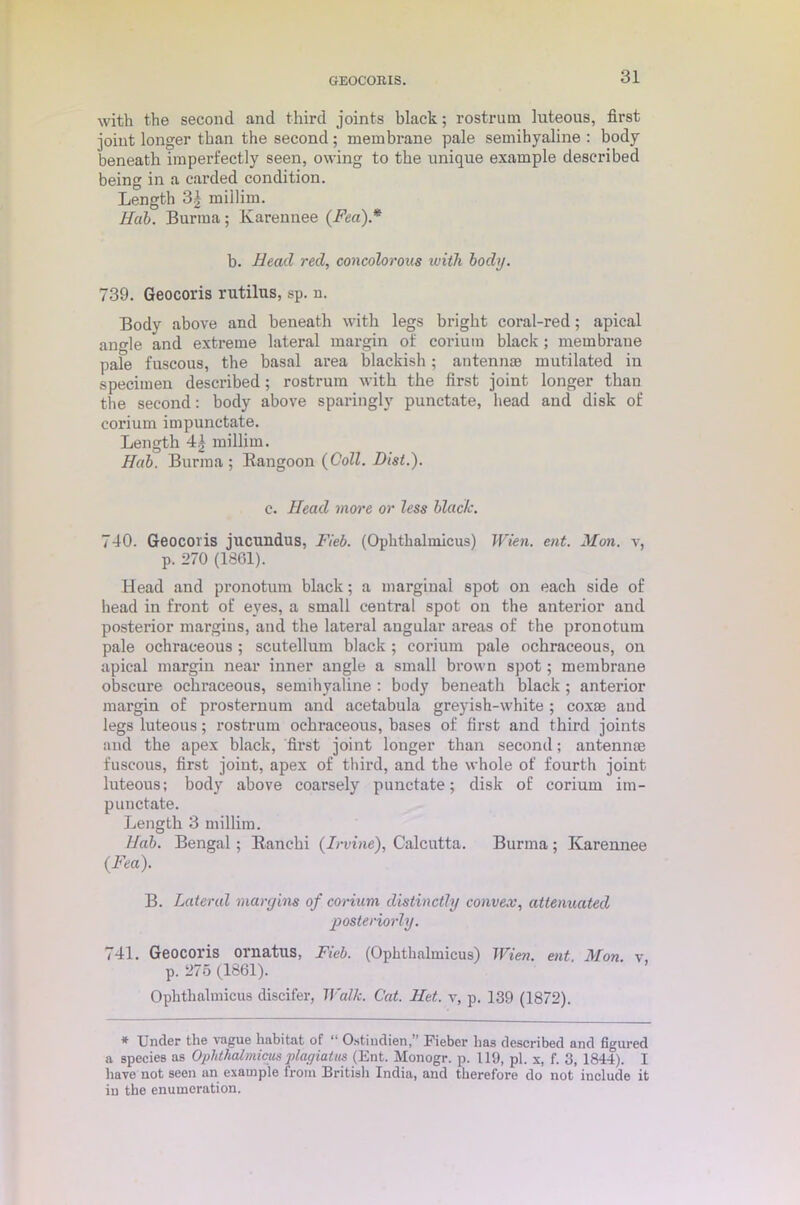 with the second and third joints black; rostrum luteous, first joint longer than the second; membrane pale semihyaline : body beneath imperfectly seen, owing to the unique example described being in a carded condition. Length 3| millim. Hub. Burma; Karennee {Fea).* b. Head red, concolorons with body. 739. Geocoris rutilus, sp. u. Body above and beneath with legs bright coral-red; apical angle and extreme lateral margin of coriuin black ; membrane pale fuscous, the basal area blackish; antennae mutilated in specimen described; rostrum with the first joint longer than the second: body above sparingly punctate, head and disk of corium impunctate. Length 4± millim. Hab. Burma; Rangoon {Coll. Hist.). c. Head more or less blade. 740. Geocoris jucundus, Fieb. (Ophthalmicus) Wien. ent. Mon. v, p. 270 (1861). Head and pronotum black; a marginal spot on each side of head in front of eyes, a small central spot on the anterior and posterior margins, and the lateral angular areas of the pronotum pale ochraceous; scutellum black ; corium pale ochraceous, on apical margin near inner angle a small brown spot; membrane obscure ochraceous, semihyaline : body beneath black ; anterior margin of prosternum and acetabula greyish-white ; coxae and legs luteons; rostrum ochraceous, bases of first and third joints and the apex black, first joint longer than second; antennae fuscous, first joint, apex of third, and the whole of fourth joint luteous; body above coarsely punctate; disk of corium im- punctate. Length 3 millim. I fab. Bengal; Ranchi (Irvine), Calcutta. Burma ; Karennee {Fea). B. Lateral margins of corium distinctly convex, attenuated posteriorly. 741. Geocoris ornatus, Fieb. (Ophthalmicus) Wien. ent. Mon. v, p. 275 (1861). Ophthalmicus discifer, Walk. Cat. Het. v, p. 139 (1872). * Under the vague habitat of “ Ostindien,” Fieber has described and figured a species as Ophthalmicus plagiatns (Ent. Monogr. p. 119, pi. x, f. 3, 1844). I have not seen an example from British India, and therefore do not include it in the enumeration.