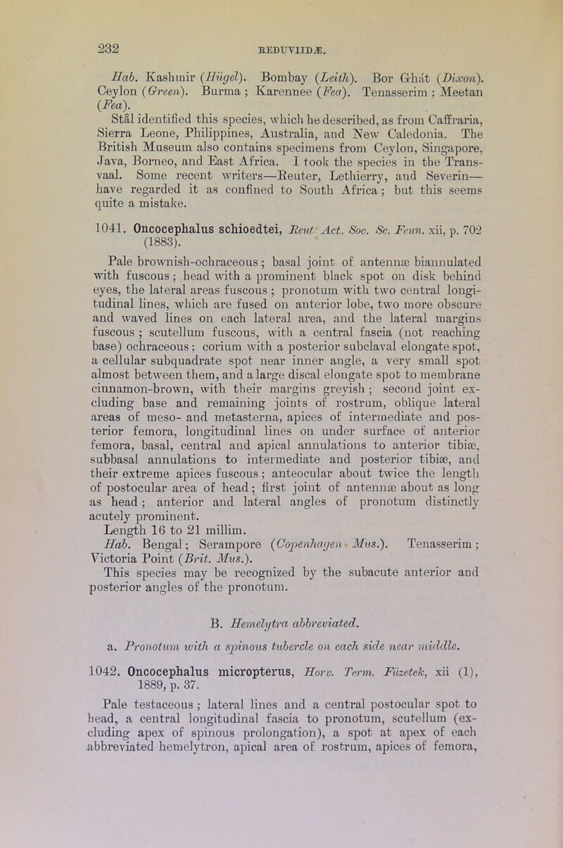 I fab. Kashmir (Hugel). Bombay {Leith). Bor G-hat (Dixon). Ceylon (Green). Burma; Karennee (Fea). Tenasserim ; Meetan (Fea). Stal identified this species, which he described, as from Caffraria, Sierra Leone, Philippines, Australia, and New Caledonia. The British Museum also contains specimens from Ceylon, Singapore, -lava, Borneo, and East Africa. I took the species in the Trans- vaal. Some recent writers—Beuter, Lethierry, and Severin— have regarded it as confined to South Africa; but this seems quite a mistake. 1041. Oncocephalus scliioedtei, Rent Act. Soc. Sc. Fcnn. xii, p. 702 (1883). Pale brownisli-ochraceous; basal joint of antennae biannulated with fuscous ; head with a prominent black spot on disk behind eyes, the lateral areas fuscous ; pronotum with two central longi- tudinal lines, which are fused on anterior lobe, two more obscure and waved lines on each lateral area, and the lateral margins fuscous ; scutellum fuscous, with a central fascia (not reaching base) ochraceous; corium with a posterior subclaval elongate spot, a cellular subquadrate spot near inner angle, a very small spot almost between them, and a large discal elongate spot to membrane cinnamon-brown, with their margins greyish ; second joint ex- cluding base and remaining joints of rostrum, oblique lateral areas of meso- and metasterna, apices of intermediate aud pos- terior femora, longitudinal lines on under surface of anterior femora, basal, central and apical annulations to anterior tibia), subbasal annulations to intermediate and posterior tibiae, and their extreme apices fuscous ; anteocular about twice the length of postocular area of head; first joint of antennae about as long as head; anterior and lateral angles of pronotum distinctly acutely prominent. Length 16 to 21 millim. Hob. Bengal; Seram pore (Copenhagen Mus.). Tenasserim: Victoria Point (Brit. Mus.). This species may be recognized by the subacute anterior and posterior angles of the pronotum. B. Hemelytra abbreviated. a. Pronotum with a spinous tubercle on each side near middle. 1042. Oncocephalus micropterus, Horv. Term. Fiizetek, xii (1), 1889, p. 37. Pale testaceous ; lateral lines and a central postocular spot to head, a central longitudinal fascia to pronotum, scutellum (ex- cluding apex of spinous prolongation), a spot at apex of each abbreviated hemelytron, apical area of rostrum, apices of femora,