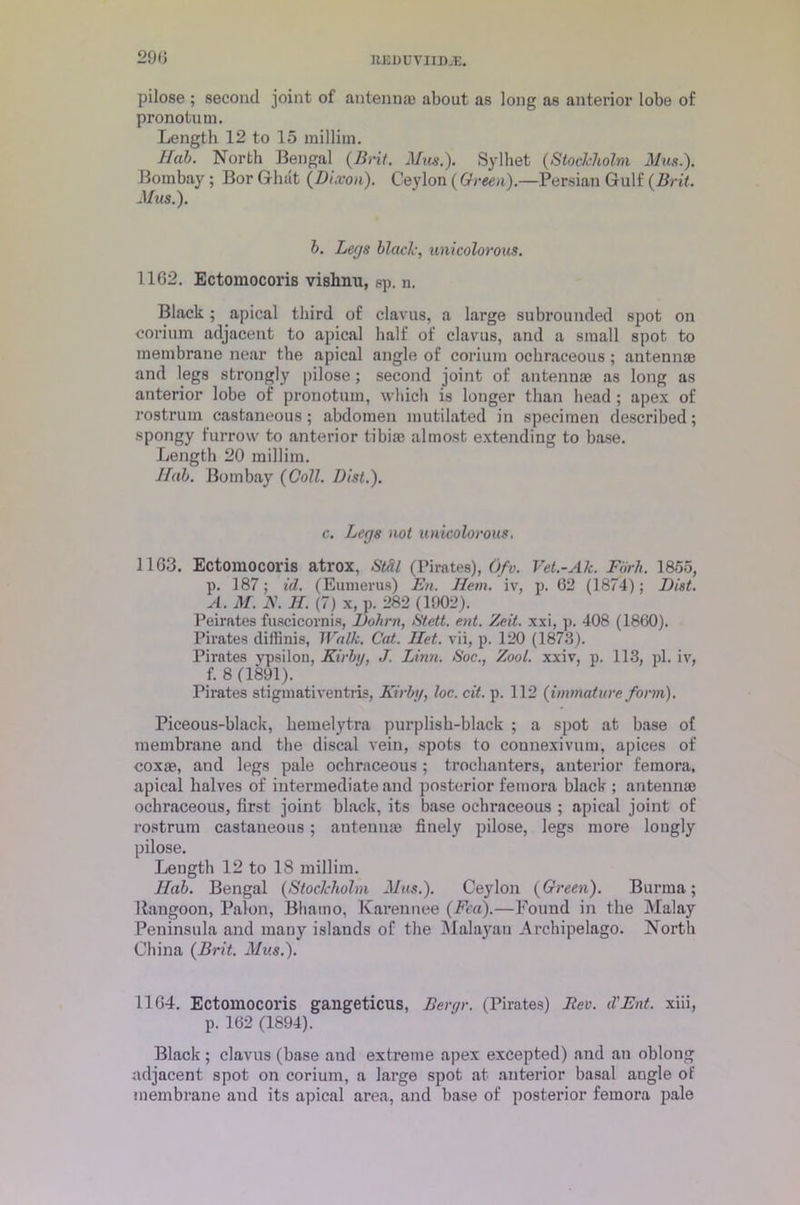 29(5 pilose ; second joint of antenna) about as long as anterior lobe of pronotum. Length 12 to 15 millim. Sab. North Bengal (Brit. Mus.). Sylhet (Stockholm Mus.). Bombay ; Bor Ghat (Dixon). Ceylon (Green)—.Persian Gulf (Brit. Mus.). b. Legs blade, unicolorous. 1162. Ectomocoris vishnu, sp. n. Black; apical third of clavus, a large subrounded spot on corium adjacent to apical half of clavus, and a small spot to membrane near the apical angle of corium ockraceous; antennas and legs strongly pilose ; second joint of antennas as long as anterior lobe of pronotum, which is longer than head ; apex of rostrum castaneous; abdomen mutilated in specimen described; spongy furrow to anterior tibias almost extending to base. Length 20 millim. Sab. Bombay (Coll. Dist.). c. Legs not unicolorous. 1163. Ectomocoris atrox, Stftl (Pirates), 0/y. Vet.-Ah. Fork. 1855, p. 187; id. (Eumerus) En. Hem. iv, p. 62 (1874); Dist. A. M. N. H. (7) x, p. 282 (1902). Peirates fuscicornis, Dohrn, Stett. ent. Zeit. xxi, p. 408 (1860). Pirates diflinis, Walk. Cat. Het. vii, p. 120 (1873). Pirates vpsilon, Kirby, J. Linn. Soc., Zool. xxiv, p. 113, pi. iv, f. 8 (1891). Pirates stigmativentris, Kirby, loc. cit. p. 112 (immature form). Piceous-black, heinelytra purplish-black ; a spot at base of membrane and the discal vein, spots to counexivum, apices of coxae, and legs pale ochraceous ; trochanters, anterior femora, apical halves of intermediate and posterior femora black ; antennas ochraceous, first joint black, its base ochraceous ; apical joint of rostrum castaneous; antennae finely pilose, legs more longly pilose. Length 12 to 18 millim. Sab. Bengal (Stockholm Mus.). Ceylon (Green). Burma; Rangoon, Palon, Bhatno, Karennee (Feu).—Found in the Malay Peninsula and many islands of the Malayan Archipelago. North China (Brit. Mus.). 1164. Ectomocoris gangeticus, Bergr. (Pirates) Rev. d'Ent. xiii, p. 162 (1894). Black ; clavus (base and extreme apex excepted) and an oblong adjacent spot on corium, a large spot at anterior basal angle of membrane and its apical area, and base of posterior femora pale