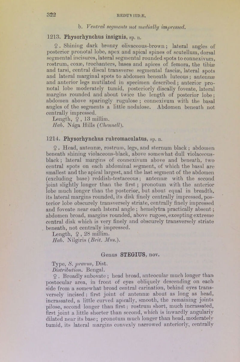 REDUV I1DJE. b. Ventral segments not medially impressed. 1213. Physorhynchus insignia, sp. n. 5 . Shining dark bronzy olivaceous-brown; lateral angles of posterior pronotal lobe, apex and apical spines of scutellum, dorsal segmental incisures, lateral segmental rounded spots toconnexivum, rostrum, coxae, trochanters, bases and apices of femora, the tibia; and tarsi, central discal transverse segmental fascia;, lateral spots and lateral marginal spots to abdomen beneath luteous ; antennae and anterior legs mutilated in specimen described; anterior pro- notal lobe moderately tumid, posteriorly discally foveate, lateral margins rounded and about twice tbe length of posterior lobe; abdomen above sparingly rugulose ; connexivum with the basal angles of the segments a little nodulose. Abdomen beneath not centrally impressed. Length, $ , 13 millim. Hah. Niiga Hills (Chennell). 1214. Physorhynchus rubromaculatus, sp. n. 5 . Head, antennae, rostrum, legs, and sternum black ; abdomen beneath shining violaceous-black, above somewhat dull violaceous- black ; lateral margins of connexivum above and beneath, two central spots on each abdominal segment, of which the basal are smallest and the apical largest, and the last segment of the abdomen (excluding base) reddish-testaceous; antenna; with the second joint slightly longer than the first ; pronotum with the anterior lobe much longer than the posterior, but about equal in breadth, its lateral margins rounded, its disk finely centrally impressed, pos- terior lobe obscurely transversely striate, centrally finely impressed and foveate near each lateral angle ; hemelytra practically absent; abdomen broad, margins rounded, above rugose, excepting extreme central disk which is very finely and obscurely transversely striate beneath, not centrally impressed. Length, $>, 28 millim. Hah. Nilgiris (Brit. Mm.). Genus STEGIUS, nov. Type, S. pravus, Dist. Distribution. Bengal. 5 . Broadly subovate ; head broad, anteocular much longer than postocular area, in front of eyes obliquely descending on each side from a somewhat broad central carination, behind eyes trans- versely incised ; first joint of antennae about as long as bead, incrassated, a little curved apically, smooth, the remaining joints pilose, second longer than first ; rostrum short, much incrassated, first joint a little shorter than second, which is inwardly angularly dilated near its base; pronotum much longer than head, moderately tumid, its lateral margins convexly narrowed anteriorly, centrally