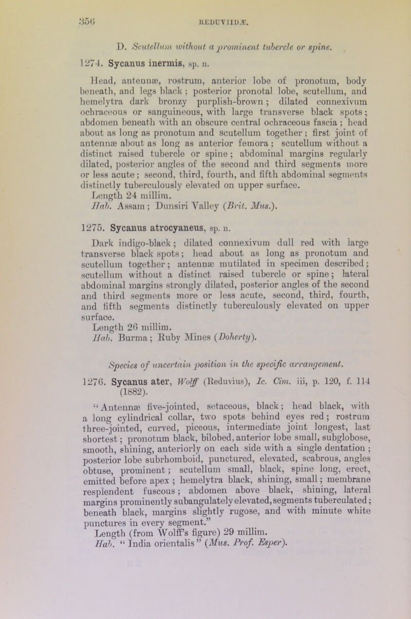 1). Scutellum without a prominent tubercle or spine. 1274. Sycanus inermis, sp. n. Head, antennae, rostrum, anterior lobe of pronotum, body beneath, and legs black ; posterior pronotal lobe, scutellum, and hemelytra dark bronzy purplish-brow n; dilated connexivum oehraceous or sanguineous, with large transverse black spots; abdomen beneath with an obscure central oehraceous fascia ; bead about as long as pronotum and scutellum together ; first joint of antenna} about as long as anterior femora; scutellum without a distinct raised tubercle or spine; abdominal margins regularly dilated, posterior angles of the second and third segments more or less acute; second, third, fourth, and fifth abdominal segments distinctly tuberculously elevated on upper surface. Length 24 millim. Jfah. Assam ; Dunsiri Valley (Brit. Mus.). 1275. Sycanus atrocyaneus, sp. n. Dark indigo-black; dilated connexivum dull red with iarge transverse black spots; head about as long as pronotum and scutellum together; antenna} mutilated in specimen described; scutellum without a distinct raised tubercle or spine; lateral abdominal margins strongly dilated, posterior angles of the second and third segments more or less acute, second, third, fourth, and fifth segments distinctly tuberculously elevated on upper surface. Length 26 millim. Hah. Burma; Ruby Mines (Doherty). Species of uncertain position in the specific arrangement. 1276. Sycanus ater, Wolf (Reduvius), Ic. dm. iii, p. 120, f. 114 (1882). “ Antennae five-jointed, setaceous, black; head black, with a long cylindrical collar, two spots behind eyes red; rostrum three-jointed, curved, piceous, intermediate joint longest, last shortest; pronotum black, bilobed,anterior lobe small, subglobose, smooth, shining, anteriorly on each side with a single dentation ; posterior lobe subrbomboid, punctured, elevated, scabrous, angles obtuse, prominent; scutellum small, black, spine long, erect, emitted before apex ; hemelytra black, shining, small; membrane resplendent fuscous; abdomen above black, shining, lateral margins prominently subangulatelyelevated,segments tuberculated; beneath black, margins slightly rugose, and with minute white punctures in every segment.” Length (from Wolff’s figure) 29 millim. I fab. “ India orientalis” (Mus. Prof. Esper).