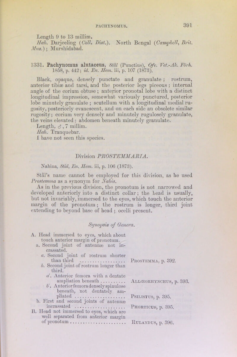 Length 9 to 13 millim. Nab. Darjeeling (Coll. Disi.). North Bengal (Campbell, Brit. Mvs.); Murshidabad. 1331. Pachynomus alutaceus, StSl (Punctius), Ofv. Yet-Ah. Fork. 1858, p. 442; id. Fn. Hem. iii, p. 107 (1873). Black, opaque, densely punctate and granulate ; rostrum, anterior tibiae and tarsi, and the posterior legs piceous : internal angle of the corium obtuse ; anterior pronotal lobe with a distinct longitudinal impression, somewhat variously punctured, posterior lobe minutely granulate ; scutellum with a longitudinal medial ru- gosity, posteriorly evanescent, and on each side an obsolete similar rugosity; corium very densely and minutely rugulosely granulate, the veins elevated: abdomen beneath minutely granulate. Length, cf, 7 millim. Nab. Tranquebar. I have not seen this species. Division Pit OS TEMMARIA. Nabiua, Sthl, Fn. Hem. iii, p. 106 (1873). Still's name cannot be employed for this division, as he used Prostemma as a synonym for Nabis. As in the previous division, the pronotum is not narrowed and developed anteriorly into a distinct collar; the head is usually, but not invariably, immersed to the eyes, which touch the anterior margin of the pronotum; the rostrum is longer, third joint extending to beyond base of head ; ocelli present. Synopsis of Genera. A. Head immersed to eyes, which about touch anterior margin of pronotum. a. Second joint of antennae not in- crassated. a. Second joint of rostrum shorter than third b. Second joint of rostrum longer than third. a'. Anterior femora with a dentate ampliation beneath b'. Anterior fe rnora densely spinulose beneath, not dentately am- pliated b. First and second joints of antennas incrassated B. Head not immersed to eyes, which are well separated from anterior margin of pronotum Prostejima, p. 392. Allceorhynchus, p. 393. Psilistits, p. 395. Phorticus, p. 395. Rulandus, p. 396.