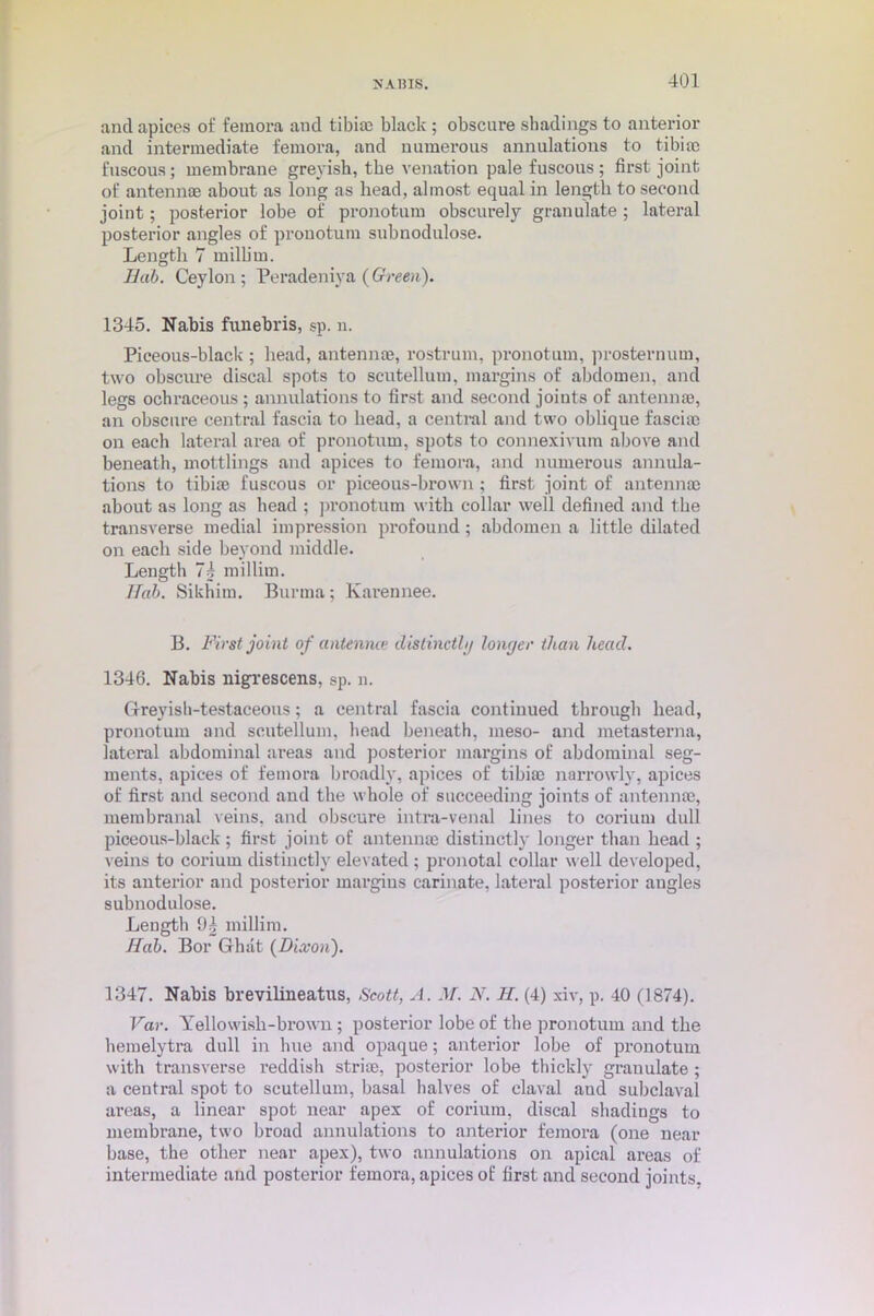 and apices of femora and tibim black ; obscure shadings to anterior and intermediate femora, and numerous annulations to tibia) fuscous; membrane greyish, the venation pale fuscous ; first joint of antennae about as long as head, almost equal in length to second joint; posterior lobe of pronotum obscurely granulate ; latei’al posterior angles of pronotum subnodulose. Length 7 millim. Bab. Ceylon; Peradeniya {Green). 1345. Nabis funebris, sp. n. Piceous-black ; head, antennae, rostrum, pronotum, prosternum, two obscure discal spots to scutellum, margins of abdomen, and legs ochraceous ; annulations to first and second joints of antennae, an obscure central fascia to head, a central and two oblique fasciae on each lateral area of pronotum, spots to connexivum above and beneath, mottlings and apices to femora, and numerous annula- tions to tibiae fuscous or piceous-brown ; first joint of antennae about as long as head ; pronotum with collar well defined and the transverse medial impression profound ; abdomen a little dilated on each side beyond middle. Length 74 millim. Bab. Sikhim. Burma; Karennee. B. First joint of antennce distinctly lonc/er than head. 1346. Nabis nigrescens, sp. n. Greyish-testaceous; a central fascia continued through head, pronotum and scutellum, head beneath, meso- and metasterna, lateral abdominal areas and posterior margins of abdominal seg- ments, apices of femora broadly, apices of tibia) narrowly, apices of first and second and the whole of succeeding joints of antennae, membranal veins, and obscure intra-venal lines to corium dull piceous-black; first joint of antennae distinctly longer than head ; veins to corium distinctly elevated ; pronotal collar well developed, its anterior and posterior margins carinate, lateral posterior angles subnodulose. Length 94 millim. Hob. Bor Ghat (Dixon). 1347. Nabis brevilineatus, Scott, A. .V. N. II. (4) xiv, p. 40 (1874). Var. Yellowish-brown ; posterior lobe of the pronotum and the hemelytra dull in hue and opaque; anterior lobe of pronotum with transverse reddish striae, posterior lobe thickly granulate ; a central spot to scutellum, basal halves of elaval and subclaval areas, a linear spot near apex of corium, discal shadings to membrane, two broad annulations to anterior femora (one near base, the other near apex), two annulations on apical areas of intermediate and posterior femora, apices of first and second joints.