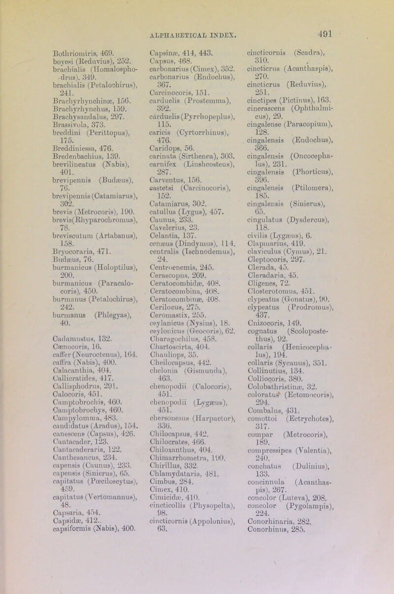 Botbriouiiris, 469. boyesi (Reduvius), 252. bracbialis (Homalospbo- • drus), 349. bracliialis (Petalochirus), 241. Brachyrhynohinas, 156. Brachyrhynchus, 159. Bracbysandalus, 297. Brassivola, 373. breddini (Berittopus), 175. Breddiniessa, 476. Bredenbacbius, 139. breviliueatus (Nabis), 401. brevipennis (Budaius), 76. brevipennis (Catamiarus), 302. brevis (Metrocoris), 190. brevis(Rhvparochroinus), 78. breviseutum (Artabanus), 158. Bryocorarin, 471. Budieus, 76. burmanicus (Holoptilus), 200. burmanicus (Paracalo- coris), 450. burmanus (Petalochirus), 242. burmanus (Pblegyas), 40. Cadamustus, 132. Csenocoris, 16. caffer(Neuroctenus), 164. caffra (Nabis), 400. Calacantbia, 404. Callieratides, 417. Callisphodrus, 291. Calocoris, 451. Cauiptobrocliis, 460. Camptobrocbys, 460. Cam pyl omma, 483. candidatus (Aradus), 154. canescens (Capsus), 426. Cantaeader, 123. Oantacaderaria, 122. Canthesancus, 234. capensis (Caunus), 233. capensis (Sinierus), 65. eapitatus (Pceciloscytus), 459. eapitatus (Yertomannus), 48. Capsaria, 454. Capsida:, 412.. capsiformis (Nabis), 400. ALPHABETICAL INDEX. Capsime, 414, 443. Capsus, 468. carbonarius (Cimex), 352. carbonarius (Endocbus), 367. Oarcinocoris, 151. carduelis (Prostemma), 392. carduelis (Pyrrhopeplus), 115. caricis (Cyrtorrhinus), 476. Caridops, 56. carinnta (Sirtbenea), 303. carnifex (Linsbcosteus), 287. Carventus, 156. castetsi (Carcinocoris), 152. Catamiarus, 302. catullus (Lygus), 457. Caunus, 233. Cavelerius, 23. Celantia, 137. cenams (Dindymus), 114. centralis (Tscbnodemus), 24. Centrncnemis, 245. Cerascopus, 209. Ceratocombidas, 408. Ceratocombina, 408. Ceratocombinte, 408. Cerilocus, 275. Ceromastix, 255. ceylanicus (Nysius), 18. ceylonicus (Geoeoris), 62. Cbaragochilus, 458. Chartoscirta, 404. Cbauliops, 35. Cheilocapsus, 442. chelonia (Gismunda), 463. cbenopodii (Calocoris), 451. cbenopodii (Lygseus), 451. cbersouesus (Harpactor), 336. Cbilocapsus, 442. C'bilocrates, 466. Cbiloxantbus, 404. Cliimarrhometra, 190. Cbirillus, 332. Cblamydataria, 481. Cimbtis, 284. Cimex, 410. Cimicidic, 410. eincticollis (Pbysopelta), 98. cincticornis (Appolonius), 63. 491 cincticornis (Scadra), 310. ciucticrus (Acantbaspis), 270. cincticrus (Reduvius), 251. cinctipes (Pictinus), 163. cineraseens (Opbtbalmi- cus), 29. ciugalense (Paracopiuui), 128. cingalensis (Endocbus), 366. cingalensis (Oncocepba- lus), 231. cingalensis (Pborticus), 396. cingalensis (Ptilomera), 185. cingalensis (Sinierus), 65. cingulatus (Dysdercus), 118. civilis (Lygmus), 6. Olapmarius, 419. claviculus (Cymus), 21. Cleptocoris, 297. Clerada, 45. Cleradaria, 45. Cligenes, 72. Closterotomus, 451. cl> ]ieatus (Gonatus), 90. clypeatus (Prodromus), 437. Cnizocoris, 149. cognatus (Scoloposte- thus), 92. collaris (Henicocepba- lus), 194. collaris (Sycauus), 351. Collinutius, 134. Colliocoris, 380. Colobathristinie, 32. coloratui? (Ectomocoris), 294. Combalus, 431. comottoi (Ectrycbotes), 317. compar (Metrocoris), 189. eompressipes (Valentia), 240. conchatus (Dulinius), 133. eoncinnula (Acantbas- pis), 267. concolor (Luteva), 208. concolor (Pygolampis), 224. Conorbinaria, 282. Conorbinus, 285.