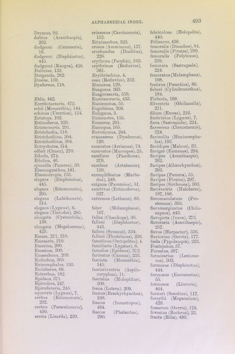 dubius (Acantbaspis), 2G2. dudgeoni (Gasnocoris), 16. dudgeoni (Dispbinotus), 445. dudgeoni (Kangra), 428. Dulinius, 133. Durganda, 282. Dusius, 159. Dysdercus, 118. Eblis, 442. Eccritotarsaria, 472. echii (Monantbia), 144. echinus ^Urentius), 134. Ectatops, 102. Ectinoderus, 326. Ectomocoris, 291. Ectricbodia, 318. Ectrichodiina, 304. Eetrichodiinas, 304. Eetrychotes, 314. edleri (Cimex), 270. Edocla, 274. Edulica, 46. ejuncida (Pamera), 50. Elasmognathus, 141. Elasmotropis, 135. elegans (Dispbinotus), 445. elegaus (Ectomocoris), 295. elegans (Labidocoris), 314. elegans (Lyganis), 6. elegans (Tiarodes), 285. elongata (Cysteocbila), 138. elongata (Megalocenea), 425. Emesa, 211, 216. Emesaria, 210. Emesina, 200. Emesinse, 200. Emesodema, 209. Endochus, 365. Enicocephalus, 193. Entisberus, 66. Eotrechus, 182. Epidaus, 371. Epirodera, 247. Epiroderaria, 245. equestris (Lygmus), 7. erebus (Ectomocoris), 292. erebus (Paracalocoris), 450. erecta (Lisarda), 239. ALPHABETICAL INDEX. 152. Eriximaehus, 323. erosus (Ammianus), 137. errabundus (Diaditus), 226. erythrsea (Psopbis), 243. erythrinus (Reduvius), 361. Erytbriscbius, 4. esau (Reduvius), 252. Eteoneus, 129. Euagoras, 363. Euagorasaria, 359. Eueeracoraria, 433. Eucosmetus, 55. Eugubinus, 206. Eulygasus, 5. Eumenotes, 155. Eumerus, 291. Euscopus, 105. Euvonymus, 244. evanescens (Dysdercus), 120. excavatus (Arrianus), 74. excavatus (Macropes), 25. excellens (Panthous), 379. excelsus (Artabanus), 159. exeniplifieatus (Marbo- dus), 248. exiguus (Paromius), 51. exortivus (Ectinoderus), 327. extremus (Lethajus), 88. faber (Melamphaus), 107. fallax (Chauliops), 36. falleni (Disphinctus), 443. falleni (Sycanus), 354. falleni (Tbodelmus), 236. famelicus(Oncopeltus), 4. familiaris (Lygaeus), 6. famulus (Epidaus), 372. farinator (Oaunus), 233. fasciata (Monantbia), 145. fasciativentris (Aspilo- corypbus), 11. fasciatus (Holoptilus), 200. feana (Luteva), 209. feanus (Bracby rbynchus), 160. feanus (Isouietopus), 484. feanus (Phalantus), 290. 493 440. Felisacus, 438. femoralis (Dieucbes), 84. femoralis (Pirates), 299. femoralis (Polytoxus), 219. femorata (Sastrapada), 224. femoratus (Melamphaus), 108. festivus (Poeantius), 86. fieberi (Cylindrostethus), 184. Eieberia, 168. filiventris (Gbiliauella), 211. filium (Emesa), 216. fimbriatus (Lygwus), 7. flava (Sastrapada), 224. flavescens (Otenocnemis), 224. flavicollis (Henicocepha- lus), 193. flavidipes (Malcus), 33. flaviger (Eumenes), 294. flavipes (Acantbaspis), 262. flavipes (Alloeorhynchus), 393. flavipes (Pamera), 55. flavipes (Pirates), 297. flavipes (Sirtbenea), 303. flavivcntris (Halobates), 187,188. flavomaculatum (Pro- stem ma), 393. flavomarginatus (Cbilo- capsus), 443. flavopicta (Inara), 273. flavoraria (Acantbaspis), 257. flavus (Harpactor), 336. fluviorum (Gerris), 177. foeda (Pygolampis), 223. Fontejanus, 57. Forestus, 387. formicarius (Lestome- rus), 302. formosus (Disphinctus), 444. formosus (Eucosmetus), 55. formosus (Lioeoris), 464. forsteri (Scantius), 117. forsytbi (Megaccelum), 429. fossarum (Gerris), 178. foveatus (Bochrus), 23. fracta (Bilia), 480.