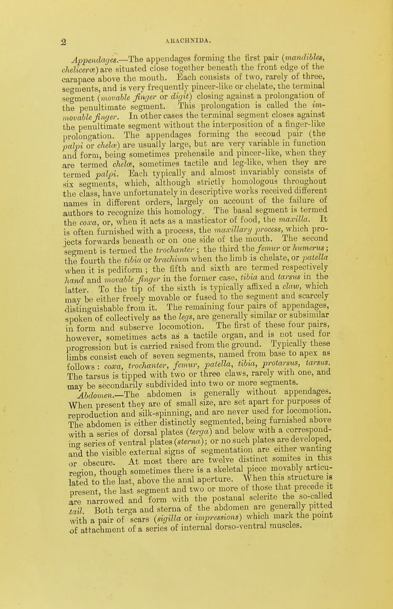 Appendages.—The appendages forming the first pair {mandibles, cJielicerce) are situated close together beneath tlie front edge of the carapace above the mouth. Each consists of two, rarely of three, segments, and is very frequently pincer-lilce or chelate, the terminal segment {movable finger or digit) closing against a prolongation of the penultimate segment. This prolongation is called the im- movable finger. In other cases the terminal segment closes against the penultimate segment without the interposition of a finger-like prolongation. The appendages forming the second pair (the palpi or chelcti) are usually large, but are very variable in function and form, being sometimes prehensile and pincer-like, when they are termed clieloe, sometimes tactile and leg-like, when they are termed palpi. Each typically and almost invariably consists of six segments, which, although strictly homologous throughout the class, have unfortunately in descriptive works received different names in different orders,'largely on account of the failure of authors to recognize this homology. The basal segment is termed the coxa, or, when it acts as a masticator of food, the maxilla. It is often fm-nished with a process, the maxillary process, which pro- iects forwards beneath or on one side of the mouth. The second segment is termed the trochanter ; the third the/eiwwr or humerus; the fourth the tibia or brachium when the limb is chelate, or jxttella when it is pediform ; the fifth and sixth are termed respectively hand and movable finger in the former case, tibia and tarsus m the latter. To the tip of the sixth is typically affixed a claw, which may be either freely movable or fused to the segment and scarcely distinguishable from it. The remaining four pairs of appendages, spoken of collectively as the legs, are generally similar or subsimilar in form and subserve locomotion. The first of these tour pairs, however, sometimes acts as a tactile organ, and is not used for l^rogression but is carried raised from the ground. Typically these limbs consist each of seven segments, named from base to apex as foUows : coxa, trochanter, femur, patella, tibia, protarsus, tarsus The tarsus is tipped with two or three claws, rarely with one, and may be secondarily subdivided mto two or more segments. Abdomen.—The abdomen is generaUy without appendages When present they are of small size, are set apart for purposes ot reproduction and sUk-spinning, and are never used for locomotion. The abdomen is either distinctly segmented, bemg furnished above with a series of dorsal plates {terga) and below with a correspond- ing series of ventral plates {sterna); or no such plates are developed, and the visible external signs of segmentation are either wanting or obscure At most there are twelve distinct somites m this remon though sometimes there is a skeletal piece movably articu- lated to the last, above the anal aperture. When this s^tructure is present, the last segment and Uvo or more of those that precede it Ire narrowed and form with the postanal sclerite the so-called iail. Both terga and sterna of the abdomen are generally pitted xvith a pair of scars {sigilla or imprmions) which mark the point of attachment of a series of internal dorso-ventral muscles.