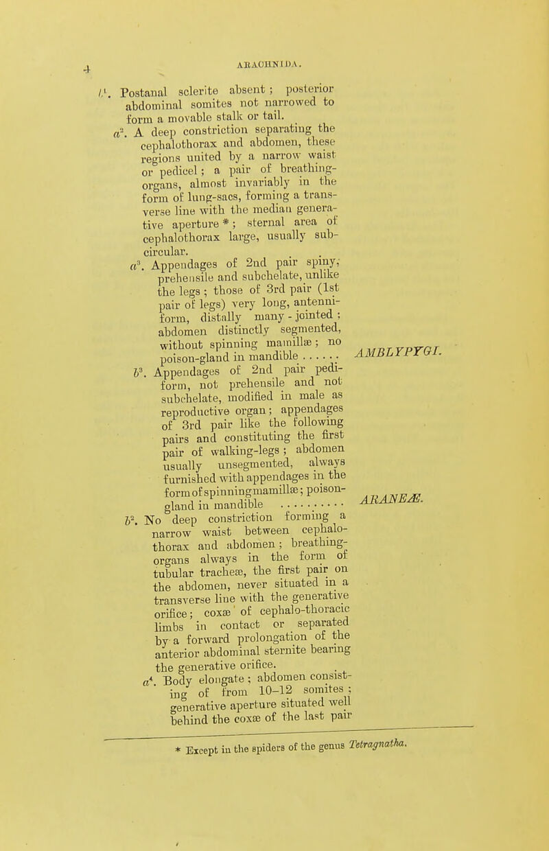 Postaual sclerite absent ; posterior abdominal somites not narrowed to form a movable stalk or tail, re'-, A deep constriction separating the cepbalothorax and abdomen, these regions united by a narrow waist or pedicel; a pair of breathing- organs, almost invariably in the form of lung-sacs, forming a trans- verse line with the median genera- tive aperture * ; sternal area of cepbalothorax large, usually sub- circular. a\ Appendages of 2nd pair spiny, prehensile and subchelate, unlike the legs ; those of 3rd pair (1st pair of legs) very long, antenm- form, distnlly many - jointed ; abdomen distinctly segmented, without spinning mamillcB ; no poison-gland in mandible AAIBLYPTGI. h\ Appendages of 2nd pair pedi- form, not prehensile and not subchelate, modified in male as reproductive organ; appendages of 3rd pair like the foUowmg pairs and constituting the first pair of walking-legs; abdomen usually unsegmented, a-lways furnished with appendages in the formof spinningmamillse; poison- gland in mandible AEANE^. P. No deep constriction forming a narrow waist between cepbalo- thorax and abdomen; breathing- organs always in the form of tubular trachea?, the first pair on the abdomen, never situated m a transverse line with the generative orifice; coxae' of cephalo-thoracic limbs in contact or separated by a forward prolongation of the anterior abdominal sternite bearing the generative orifice. a* Body elongate ; abdomen consist- ing of from 10-12 somites : generative aperture situated well behind the coxae of the last pair * Except iu the spiders of the genus Tetragnatha.