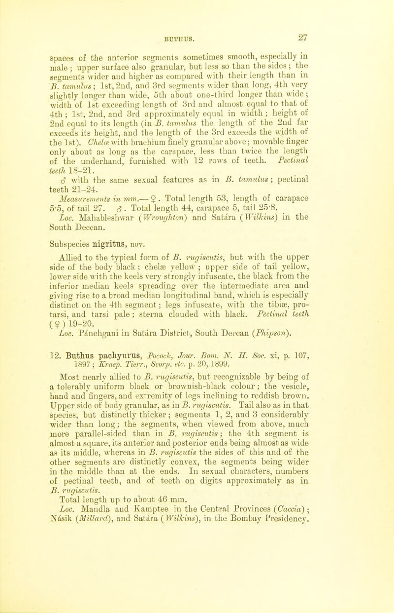 spaces of the anterior segments sometimes smooth, especially in male ; upper surface also granular, but less so than the sides ; the segments wider and higher as compared with their length than in B. tumulus; 1st,2nd, and 3rd segments wider than long, 4tli very slightly longer than wide, 5th about one-third longer than wide; width of 1st exceeding length of 3rd and almost equal to that of 4th; 1st, 2nd, and 3rd approximately equal in width; height of 2nd equal to its length (iu B. tumulus the length of the 2nd far exceeds its height, and the length of the 3rd exceeds the width of the 1st). Chela with brauhium finely granular above; movable finger only about as long as the carapace, less than twice the length of the underhand, furnished with 12 rows of teeth. Pec.tinal teeth 18-21. d with the same sexual features as in B. tamulus; pectinal teeth 21-24. Measurements in mm.— $ . Total length 53, length of carapace 5-5, of tail 27. S ■ Total length 44, carapace 5, tail 25-8. Loc. Mahubleshwar (Wroughton) and Satara (Wilhins) in the South Deccan. Subspecies nigritus, nov. Allied to the typical form of B. rugiscutis, but with the upper side of the body black ; chelae yellow ; upper side of tail yellow, lower side with the keels very strongly infuscate, the black from the inferior median keels spreading over the intermediate area and giving rise to a broad median longitudinal band, which is especially distinct on the 4th segment; legs infuscate, with the tibise, pro- tarsi, and tarsi pale; sterna clouded with black. Pectinal teeth ($ ) 19-20. Loc. Panchgani in Satara District, South Deccan (Phijmn). 12. Buthus pach3rurus, Pocock, Jour. Bom. N. H. Sac. xi, p. 107, 1897 ; Krae2}. Tien:, Scarp, etc. p. 20, 1899. Most nearly allied to B. rugiscutis, but recognizable by being of a tolerably uniform black or brownish-black colour; the vesicle, hand and fingers, and extremity of legs inclining to reddish brown. Upper side of body granular, as in B. rugiscutis. Tail also as in that species, but distinctly thicker; segments 1, 2, and 3 considerably wider than long; the segments, when viewed from above, much more parallel-sided than in B. rugiscutis; the 4th segment is almost a square, its anterior and posterior ends being almost as wide as its middle, whereas in B. rugiscutis the sides of this and of the other segments are distinctly convex, the segments being wider in the middle than at the ends. In sexual characters, numbers of pectinal teeth, and of teeth on digits approximately as in B. rugiscutis. Total length up to about 46 mm. Loc. Mandla and Kamptee in the Central Provinces (Caccia); Ndsik (Millard), and Satara {WilJiins), in the Bombay Presidency.