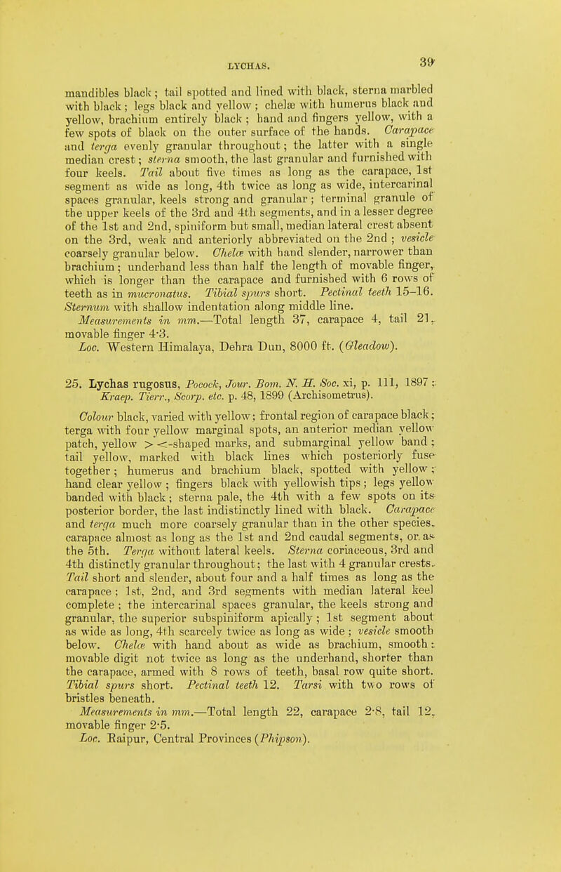 39- mandibles black ; tail spotted and lined witii black, sterna marbled with black; legs black and yellow ; clielsB with humerus black and yellow, brachiiim entirely black ; hand and fingers yellow, with a few spots of black on the outer surface of the hands. Carapace and terga evenly granular throughout; the latter with a single median crest; slema smooth, the last granular and furnished with four keels. Tail about five times as long as the carapace,_lst segment as wide as long, 4th twice as long as wide, intercarinal spaces granular, keels strong and granular; terminal granule of the upper keels of the 3rd and 4th segments, and in a lesser degree of the 1st and 2nd, spiniform but small, median lateral crest absent on the 3rd, weak and anteriorly abbreviated on the 2nd ; vesicle coarsely granular below. Chelce with hand slender, narrower than brachium ; underhand less than half the length of movable finger,, which is longer than the carapace and furnished with 6 rows of teeth as in mucronaius. Tibial spurs short. Pectinal teeth 15-16. Sternum with shallow indentation along middle line. Meamrements in mm.—Total length 37, carapace 4, tail 21.. movable finger 4-3. Loc. Western Himalaya, Dehra Dun, 8000 ft. (Gleadow). 25. Lychas rugOSUS, Pocock, Jour. Bo^n. N. H. Soc. xi, p. Ill, 1897 ;; Kraep. Tierr., Scorp. etc. p. 48, 1899 (Archisometrus). Colour black, varied with yellow; frontal region of carapace black; terga with four yellow marginal spots, an anterior median yellov\- patch, yellow ><-shaped marks, and submarginal yellow band ; tail yellow, marked with black lines which posteriorly fuse together; humerus and brachium black, spotted with yellow; hand clear yellow ; fingers black with yellowish tips ; legs yellow banded with black; sterna pale, the 4th with a few spots on its posterior border, the last indistinctly lined with black. Carapace and tercja much more coarsely granular than in the other species, carapace almost as long as the 1st and 2nd caudal segments, or as the 5th. Terfja without lateral keels. Sterna coriaceous, 3rd and 4th distinctly granular throughout; the last with 4 granular crests. Tail short and slender, about four and a half times as long as the carapace ; 1st, 2nd, and 3rd segments with median lateral keel complete ; the intercarinal spaces granular, the keels strong and granular, the superior subspiniform apioally; 1st segment about as wide as long, 4th scarcely twice as long as wide ; vesicle smooth below. Chelce with hand about as wide as brachium, smooth t movable digit not twice as long as the underhand, shorter than the carapace, armed with 8 rows of teeth, basal row quite short. Tibial spurs short. Pectinal teeth 12. Tarsi with two rows of bristles beneath. Measurements in mm.—Total length 22, carapace 2-8, tail 12, movable finger 2-5. Loc. Eaipur, Central Provinces {Phipsoii).