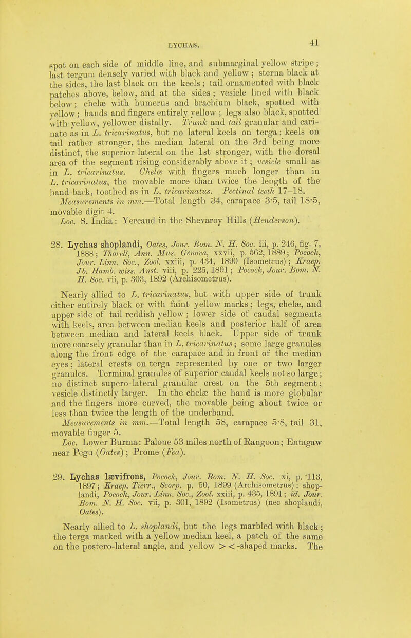 spot oil each side of middle line, and siibmarginal yellow stripe; last tergum densely varied with black and yellow ; sterna black at the sides, the last black on the keels ; tail ornamented with black patches above, below, and at the sides ; vesicle lined with black below; chelae with humerus and brachium black, spotted with yellow : hands and fingers entirely yellow ; legs also black, spotted with yellow, yellower distally. Trunk and lail granular and cari- uate as in L. trkunnatus, but no lateral keels on terga; keels on tail rather stronger, the median lateral on the 3rd being more distinct, tlie superior lateral on the 1st stronger, with the dorsal area of the segment rising considerably above it; vesicle small as in L. tricarinatits. Chelce with fingers much longer than in L. tricariiiatus, the movable more than twice the length o£ the hand-back, toothed as in L. tricarinatus. Pectinal teeth 17-18. Measurements in mm.—Total length 34, carapace 3-5, tail 18*5, movable digit 4. Loc. S. India: Tercaud in the Shevaroy Hills (Henderson). 28. Lychas shoplandi, Oates, Jo%u: Bom. N. H. Soc. iii, p. 246, fig. 7, 1888; Thorell, Ann. Mus. Genova, xxvii, p. 56i, 1889; Pocock, Jvur. Limi. Soc, Zool. xxiii, p. 434, 1890 (Isometrus) ; Kraq). Jb. Hamb. iviss. Anst. viii, p. i'lo, 1891 ; Pocock, Jour. Pom. N. H. Soc. vii, p. 303, 1892 (Ai-cbisometriis). Nearly allied to L. tricarinatus, but with upper side of trunk either entirely black or with faint yellow marks; legs, chelre, and upper side of tail reddish yellow ; lower side of caudal segments with keels, area between median keels and posterior half of area between median and lateral keels black. Upper side of trunk more coarsely granular than in L. tricarinatus • some large granules along the front edge of the carapace and in front of the median eyes; lateral crests on terga represented by one or two larger granules. Terminal granules of superior caudal keels not so large; no distinct supero-lateral granular crest on the 5th segment; vesicle distinctly larger. In the chelae the hand is more globular and the lingers more curved, the movable being about twice or less than twice the length of the underhand. Measurements in mm.—Total length 58, carapace 5-8, tail 31, movable finger 5. Loc. Lower Burma: Palone 53 miles north of Kangoon; Entagaw near Pegu (Oates); Prome (Pea). 29. Lychas Isevifrons, Pocock, Jour. Bom. N. H. Soc. xi, p. 113, 1897; Kraep. Tierr., Scorp. p. 50, 1899 (Archisometru.s): shop- landi, Pocock, Jour. Linn. Soc, Zool. xxiii, p. 435, 1891; id. Jour. Bom. N. H. Soc. vii, p. 301, 1892 (Isometrus) (nec shoplandi, Oates). Nearly allied to L. shoplandi, but the legs marbled with black; the terga marked with a yellow median keel, a patch of the same on the postero-lateral angle, and yellow > <-shaped marks. The
