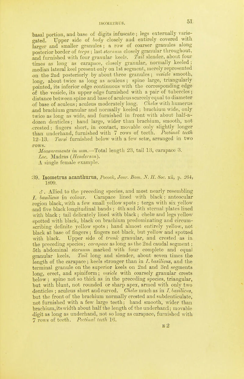 'basal portion, and base of digits infuscate; legs externally varie- gated. Upper side of hody closely and entirely covered with larger and smaller granules ; a row of coarser granules along posterior border of tenja ; Xaststernnm closely granular tliroughout, and fiu-nished with four granular keel'!. Tail slender, about four times as long as carapace, closely granular, normally keeled; median lateral keel present only on 1st segment, merely represented ■on the 2ud posteriorly by about three granules; vesicle smooth, long, about twice as long as aculeus ; spine large, triangularly pointed, its inferior edge continuous with the corresponding edge of the vesicle, its upper edge furnished with a pair of tubercles; distance between spine and base of aculeus scarcely equal to diameter ■of base of aculeus; aculeus moderately long. Chelce with humerus ;and braehium granular and normally keeled ; brachium wide, only twice as long as wide, and furnished in front with about half-a- dozen denticles; hand large, wider than brachium, smooth, not .crested; fingers short, in contact, movable only slightly longer than underhand, furnished with 7 rows of teeth. Fectinal teeth 12-13. 'Tarsi furnished below with a few setae, arranged in two irows. Measurements in mm.—Total length 23, tail 13, carapace 3. Loc. Madras (Henderson). A single female example. :39. Isometrus acanthurus, Pocock, Jour. Bom. 2^. II. Soc. xii, p. -IQA, 1899. t? . Allied to the preceding species, and most nearly resembling I. basilicus ia colour. Carapace lined with black ; anteocular region black, with a few small yellow spots ; terga with six yellow :and five black longitudinal bands ; 4th and 5th sternal plates lined with black ; tail delicately lined with black; chelse and legs yellow ■spotted with black, black on brachium predominating and circum- scribing definite yellow spots ; hand almost entirely yellow, not black at base of fingers ; fingers not black, but yellow and spotted with black. Upper side of ti-unJc granular, and crested as in the preceding species; carapace as long as the 2nd caudal segment; 5th abdominal sternum marked with four complete and equal granular keels. Tail long and slender, about seven times the length of the carapace; keels stronger than in /. basilicus, and the terminal granule on the superior keels on 2nd and 3rd segments long, erect, and spiniform; vesicle with coarsely granular crests below ; spine not so thick as in the preceding species, triangular, but with blunt, not rounded or sharp apex, armed with only two denticles ; aculeus short and curved. Chela} much as in I. basilicus, but the front of the brachium normally crested and subdenticulate, not furnished with a few large teeth; hand smooth, wider than brachium, its width about half the length of the underhand; movable digit as long as underhand, not so long as carapace, furnished with 7 rows of teeth. Pectinal teeth 16.