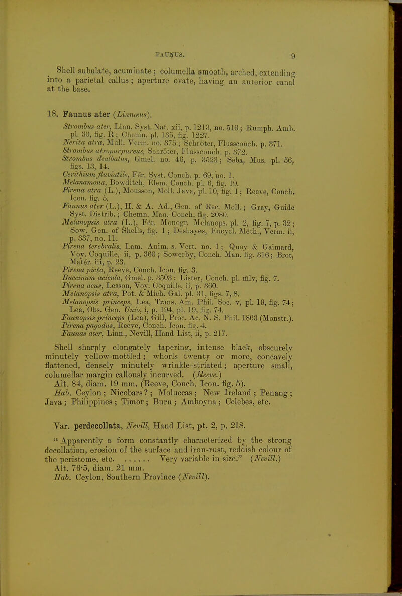 FAUHTTS. Shell subulate, acuminate; columella smooth, arched, extending into a parietal callus; aperture ovate, having au anterior canal at the base. 18. Faunus ater (Linnceus). Strombus ater, Linn. Svst. Nat. xii, p. 1213, no. 516: Eumph. Amb. pi. 30, fig. R; Chemn. pi. 135, fig. 1227. Nerita atra, Mull. Verm. no. 375 ; Schroter, Flussconch. p. 371. Strombus atropurpureus, Schroter, Flussconch. p. 372. Strombus dealbalus, Gmel. no. 46, p. 3523; Seba, Mus. pi. 56, ■ figs. 13, 14. Ceritliiumfiuviatile, Fer. Syst. Conch, p. 69, ho. 1. Melanamoua, Bowditch, Elem. Conch, pi. 6, fig. 19. Pirena atra (L.), Mousson, Moll. Java, pi. 10, fig. 1; Reeve, Conch. Icon. fig. 5. Faunus ater (L.), H. & A. Ad., Gen. of Rec. Moll.; Gray, Guide Syst. Distrib.; Chemn. Man. Conch, fig. 2080. Melanopsis atra (L.), Fer. Monogr. Melanops. pi. 2, fig. 7, p. 32; Sow. Gen. of Shells, fig. 1 ; Deshayes, Encycl. Meth., Verm, ii, p. 337, no. 11. Pirena terebraHs, Lam. Anim. s. Vert. no. 1; Quoy & Gaimard, Voy. Coquille, ii, p. 360 ; Sowerby, Conch. Man. fig. 316; Brot, Mater, iii, p. 23. Pirena picta, Reeve, Conch. Tcon. fig. 3. Buccinum acicula, Gmel. p. 3503 ; Lister, Conch, pi. nilv, fig. 7. Pirena acus, Lesson, Voy. Coquille, ii, p. 360. Melanopsis atra, Pot. & Mich. Gal. pi. 31, figs. 7, 8. Melanojms princeps, Lea, Trans. Am. Phil. Soc. v, pi. 19, fig. 74; Lea, Obs. Gen. Unio, i, p. 194, pi. 19, fia;. 74. Faunopsisprinceps (Lea), Gill, Proc. Ac. N. S. Phil. 1863 (Monstr.). Pirena pagodas, Reeve, Conch. Icon. fig. 4. Faunas acer, Linn., Nevill, Hand List, ii, p. 217. Shell sharply elongately tapering, intense black, obscurely minutely yellow-mottled; whorls twenty or more, concavely flattened, densely minutely wrinkle-striated; aperture small, columellar margin callously incurved. (Reeve.) Alt. 84, diam. 19 mm. (Reeve, Conch. Icon. fig. 5). Hah. Ceylon; Nicobars?; Moluccas; New Ireland ; Penan g; Java ; Philippines ; Timor ; Bum ; Amboyna; Celebes, etc. Var. perdecollata, Nevill, Hand List, pt. 2, p. 218.  Apparently a form constantly characterized by the strong decollation, erosion of the surface and iron-rust, reddish colour of the peristome, etc Very variable in size. (Nevill.) Alt. 76-5, diam. 21 mm. Hub. Ceylon, Southern Province (Nevill),