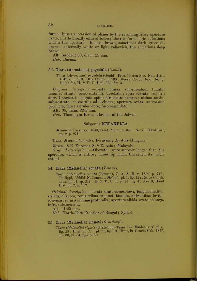 'I I A [IIDM. formed into a succession of planes by the revolving ribs; aperture ovate, a little broadly effused below; the ribs form slight sulcations within the aperture. Eeddish brown, sometimes dark greenish- brown ; internally white or light yellowish, the sulcations deep brown. Alt. (eroded) 30, diam. 22 mm. Hob. Burma. 53. Tiara (Acrostoma) pagodula {Gould). Tiara {Acrostoma) pagodula (Gould), Proc. Boston Soc. Nat. Hist. 1847, ii, p. 219; Otia Conch, p. 200 ; Reeve, Conch. Icon., Io, fig. 10 (as Io), H. & T., C. I. pi. 153.. fig. 3. Original description:—Testa crassa sub-rhombea, turrita, tenuiter striata, fusco-castanea, decollata ; spira elevata, conica ; anfr. 4 angulatis, angulo spinis 6 robustis armato ; ultimo antice sub-rostrato, et costulis ad 4 cincto ; apertura ovata, antrorsum producta, fauce cserulescente, fusco-maculato. Alt. 38, diam. 22-5 mm. Bab. Thoungyin River, a branch of the Salvvin. Subgenus MELANELLA. Melanella, Swainson, 1840, Treat. Malac. p. 341: Nevill, Hand List, pt. 2, p. 271. Type, Melania holandri, Fe'russac ; Austria-Hungary. Range. S.E.Europe; S. & E. Asia ; Malaysia. Original description :—Obovate ; spire scarcely longer than the aperture, which is entire ; inner lip much thickened its whole extent. 54. Tiara (Melanella) zonata (Bemon). Tiara (Melanella) zonata (Benson), J. A. S. B. v, 1836, p. 747 ; Philippi, Abbild. N. Conch, i, Melania, pi. 1, fig. 12; Reeve Conch. Icon. pi. 31, sp. 217 ; H. k T., C. I. pi. 71, fig. 4 ; Nevill, Hand List, pt. 2, p. 272. Original description :—Testa ovato-conica-laevi, longitudinaliter striata, olivacea, zonis tribus brunneis fasciata, anfractibus leviter convexis, suturis minime profundis ; apertura albida, ovato-oblonga, infra subangulata. Alt. 21-25 mm. Hab. North-East Frontier of Bengal; Sylhet. 55. Tiara (Melanella) riqueti (Grateloup). Tiara (Melanella) riqueti (Grateloup), Trans. Lin. Bordeaux, xi, pi. 5, tig. 28 ; H. & T., C. I. pi. 71, fig. 10 ; Brot, in Conch.-Cab. 1877, p. 333, pi. 34, figs. 6, 6 a.