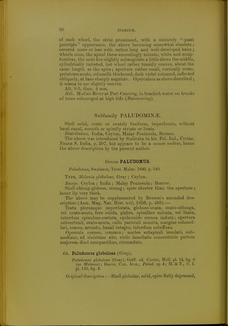 tiaiuiu:. of each whorl, the strife prominent, with a minutely quasi punctate appearance, the above becoming somewhat obsolete ; covered more or less with rather long and well-developed hairs ; whorls nine, the apical three exceedingly minute, w hite and seulp- tureless, the next five slightly subangulate a little above the middle, cylindrically turreted, last whorl rather tumidly convex, about the same length as the spire; aperture rather small, vertically ovate, peristome acute, columella thickened, dark violet coloured, inflected obliquely, at base sharply angulate. Operculum as above described ; it seems to me slightly convex. Alt. 9*5, diam. 4 mm. Bab. Mutlah Eiver at Port Canning, in brackish water on trunks of trees submerged at high tide (Maimu wring). Subfamily PALUDOMlNiE. Shell solid, ovate or ovately fusiform, imperforate, without basal canal, smooth or spirally striate or lirate. Distribution. India, Ceylon, Malay Peninsula, Borneo. The above was introduced by Stoliczka in his Pal. Iud., Cretac. Fauna S. India, p. 207, but appears to be a nomen nudum, hence the above description by the present author. Genus PALUDOMUS. Paludomus, Swainson, Treat. Malac. 1840. p. 34:0. Type, Melania globulosa, Gray ; Ceylon. Range. Ceylon ; India ; Malay Peninsula ; Borneo. Shell oblong-globose, strong; spire shorter than the aperture ; inner lip very thick. The above may be supplemented by Benson's amended des- cription (Ann. Mag. Nat. Hist, xvii, 1856, p. 495):— Testa plerumque imperforata, globoso-ovata, ovato-oblonga, vel ovato-acuta, fere solida, glabra, spiraliter sulcata, vel Hrata, interdum spinuloso-costata, epidermicle cornea induta; apertura subverticali, ovato-acuta, callo parietali munita, margine columel- lari, crasso, arcuato, basali integro, interdum subeffuso. Operculo corneo, concavo; nucleo subspirali insulari, sub- inediano, ad siuistram sito, striis lamellatis concentricis partem majorem disci usurpantibus, circumclato. 64. Paludomus globulosa (Gray). Paludomus globulosa (Gray), Griff, ed. Cuvier, Moll. pi. 14, fig. G (as Melania); Reeve, Con. Icon., Palud. sp.4; II. & T., C. I. pi. 123, fig. 5. Original description:—Shell globular, solid, spire flatly depressed,