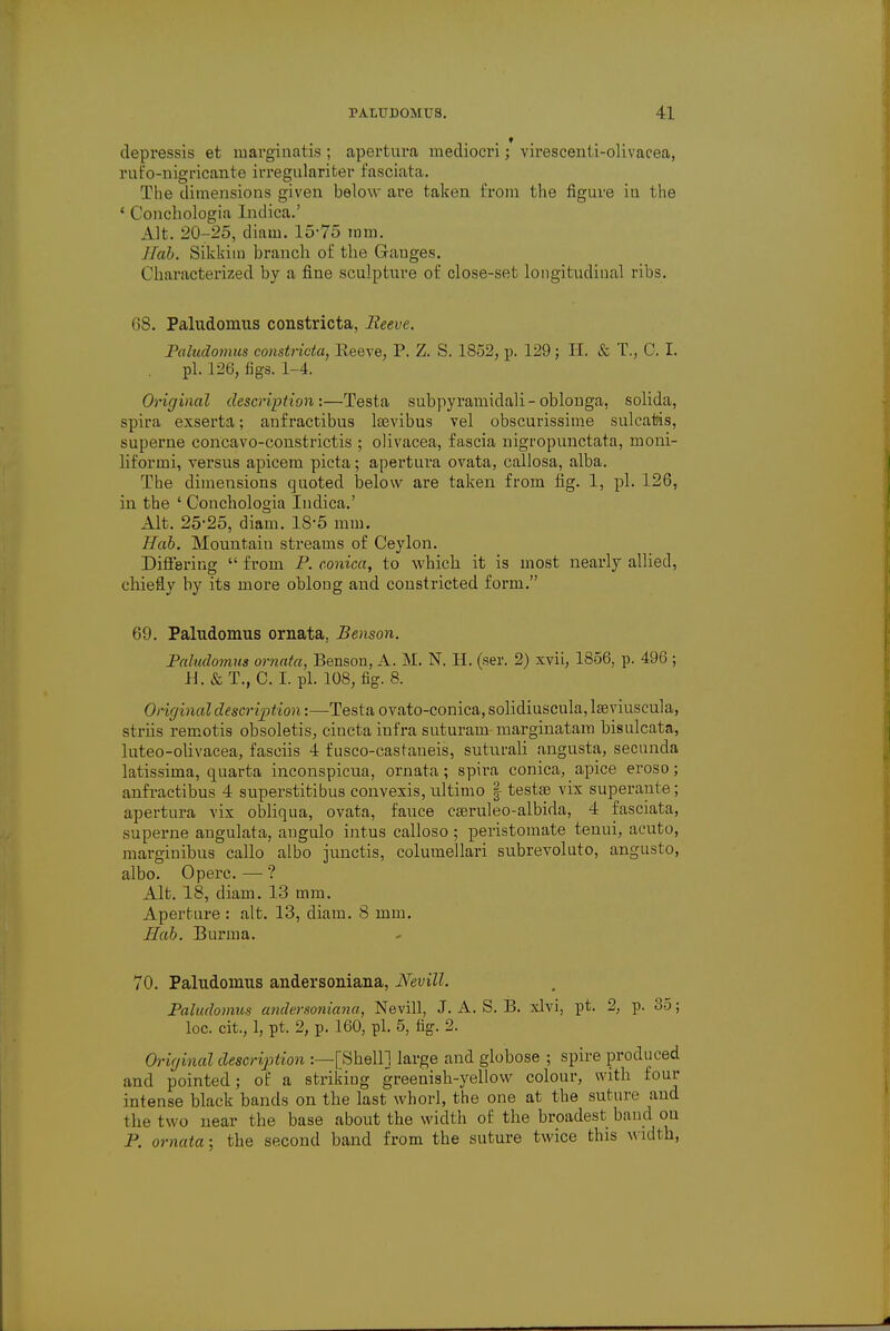 depressis et marginatis; apertura mediocri; virescenti-olivacea, rufo-nigricante irregulariter 1'asciata. The dimensions given below are taken From the figure in the * Conchologia Indica.' Alt. 20-25, diam. 15-75 mm. Jlah. Sikkim branch of the Gauges. Characterized by a fine sculpture of close-set longitudinal ribs. 68. Paludomus constricta, Reeve. Paludomus constricta, Reeve, P. Z. S. 1852, p. 129; H. & T., C. I. pi. 126, figs. 1-4. Original description:—Testa subpyramidali-oblonga, solida, spira exserta; anf ractibus lasvibus vel obscurissime sulcatis, superne concavo-constrictis ; olivacea, fascia nigropunctata, moni- liformi, versus apicem picta; apertura ovata, callosa, alba. The dimensions quoted below are taken from fig. 1, pi. 126, in the ' Conchologia Indica.' Alt. 2525, diam. 185 mm. Hub. Mountain streams of Ceylon. Differing  from P. conica, to which it is most nearly allied, chiefly by its more oblong and constricted form. 69. Paludomus ornata, Benson. Paludomus ornata, Benson, A. M. N. H. (ser. 2) xvii, 1856, p. 496 ; U.&T., C. I. pi. 108, fig. 8. Original description:—Testa ovato-conica, solidiuscula, lawiuscula, striis remotis obsoletis, cincta infra suturam marginatam bisulcata, luteo-olivacea, fasciis 4 fusco-castaneis, suturali angusta, secunda latissima, quarta inconspicua, ornata; spira conica, apice eroso; anfractibus 4 superstitious convexis, ultimo | testae vix superante; apertura vix obliqua, ovata, fauce cseruleo-albida, 4 fasciata, superne angulata, angulo intus calloso ; peristomate tenui, acuto, marginibus callo albo junctis, columellari subrevoluto, angusto, albo. Operc. — ? Alt. 18, diam. 13 mm. Aperture : alt. 13, diam. 8 mm. Hah. Burma. 70. Paludomus andersoniana, Nevill. Paludomus andersoniana, Nevill, J. A. S. B. xlvi, pt. 2, p. 35; loc. cit., 1, pt. 2, p. 160, pi. 5, fig. 2. Original description :—[Shell] large and globose ; spire produced and pointed; of a strikiug greenish-yellow colour, with four intense black bands on the last whorl, the one at the suture and the two near the base about the width of the broadest band ou P. ornata; the second band from the suture twice this width,