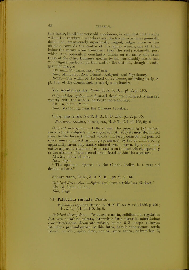 'JMAItlDJE. this latter, in all hut very old specimens, is very distinctly visible within the aperture ; whorls seven, the first two or three generally decollated, transversely superficially ridged, ridges more or less obsolete towards the centre of the upper whorls, one of them below the suture more prominent than the rest; columella pure white; the operculum constantly differs on its inner side from those of the other Burmese species by the remarkably raised and very rugose nucleolar portion and by the distinct, though minute, granular margin. Alt. max. 29, diam. max. 22 mm. Hal. Mandalay, Ava, Bhamo, Kabyuet, and Myadouug. Note.—The width of the band on P. ornata, according to fig. 8, pi. 108, of the Conch. Ind. is nearly a millimetre. • Var. myadoungensis, Nevill, J. A. S. B. 1, pt. 2, p. 160. Original description :— A small decollate and prettily marked variety, with the whorls markedly more rounded. Alt. 15, diam. 12 mm. Hab. Myadoung, near the Yunnan Frontier. Subsp. peguensis, Nevill, J. A. S. B. xlvi, pt. 2, p. 35. Paludomus regulata, Benson, var., H. & T., C. I. pi. 108, fig. 6. Original description:—Differs from the preceding [P. anders- soniana] by the slightly more rugose sculpture, by its more decollated apex, by the less cylindrical whorls and less produced and pointed spire (more apparent in young specimens), by the columella being apparently invariably faintly stained with brown, by the almost entire apparent absence of colouration on the last whorl, especially in the absence of the second broad band within the aperture. Alt. 21, diam. 16 mm. Hah. Pegu.  The specimen figured in the Conch. Indica is a very old decollated one. Subvar. nana, Nevill, J. A. S. B. 1, pt. 2, p. 160. Original description :—Spiral sculpture a trifle less distinct.' Alt. 15, diam. 11 mm. Hab. Pegu. 71. Paludomus regulata, Benson. Paludomus regulata, Benson. A. M. N. H. ser. 2, xvii, 1856, p. 496 ; H. & T., C. I. pi. 108, figi 5. Original description :—Testa ovato-acuta, solidiuscula, regulatim distincte spiraliter sulcata, interstitiis latis planatis, minutissime confertissimeque decussato-striatis, sulci's 2-3 prope suturam latioribus prot'undioribus, pallide lutea, fasciis subquatuor, tertia latiori, ornata; spira elata, conica, apice acuto; anfractibus 6,
