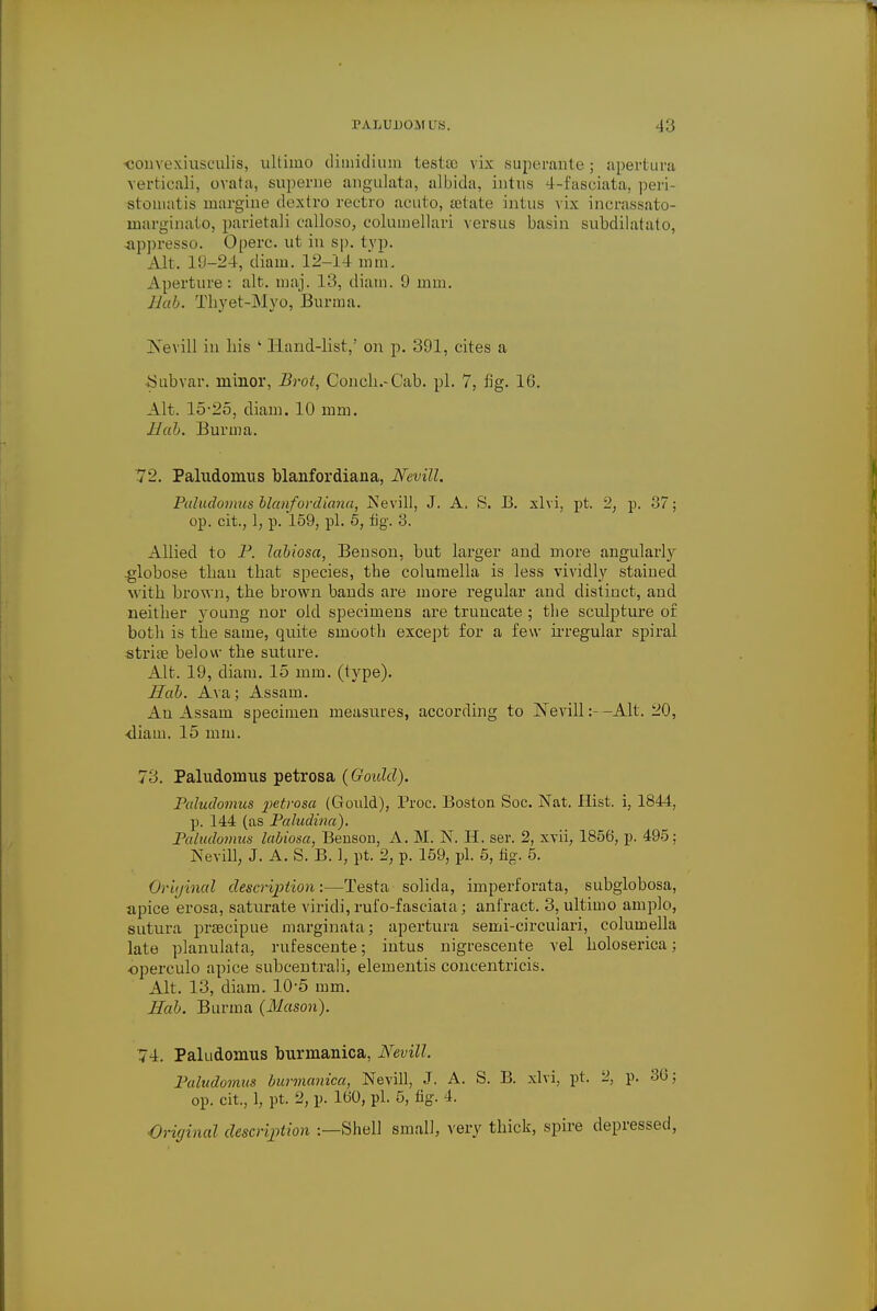 convexiusculis, ultimo diuiidium testae vix superante; apertura verticali, ovata, superne angulata, albida, iiattis 4-fasciata, peri- stoinatis niargine dextro rectro acuto, setate intus vix incrassato- marginatoj parietali calloso, columellari versus basin subdilatato, appresso. Operc. ut in sp. tvp. Alt. 19-24, diam. 12-14 mm. Aperture: alt. maj. 13, diam. 9 mm. Hab. Thyet-Myo, Burma. Nevill in his ' Hand-list,' on p. 391, cites a Subvar. minor, Brot, Conch.-Cab. pi. 7, fig. 16. Alt. 15-25, diam. 10 mm. Hab. Burma. 72. Paludomus blanfordiana, Nevill. Paludomus blanfordiana, Nevill, J. A. S. 13. xlvi, pt. 2, p. -37; op. cit., 1, p. 159, pi. 5, fig. 3. Allied to P. labiosa, Benson, but larger and more angularly .globose than that species, the columella is less vividly stained with brown, the brown bands are more regular and distinct, and neither young nor old specimens are truncate; the sculpture of both is the same, quite smooth except for a few irregular spiral striae below the suture. Alt. 19, diam. 15 mm. (type). Hab. Ava; Assam. An Assam specimen measures, according to Nevill:- -Alt. 20, diam. 15 mm. 73. Paludomus petrosa {Gould). Paludomus petrosa (Gould), Proc. Boston Soc. Nat. Hist, i, 1844, p. 144 (as Paludina). Paludomus labiosa, Benson, A. M. N. H. ser. 2, xvii, 1856, p. 495; Nevill, J. A. S. B. 1, pt. 2, p. 159, pi. 5, fig. 5. Original description:—Testa solida, imperforata, subglobosa, apice erosa, saturate viridi, rufo-faseiata; anl'ract. 3, ultimo amplo, sutura praacipue marginata; apertura semi-circuiari, columella late planulata, rufescente; intus nigrescente vel holoserica; operculo apice subcentrali, elementis concentricis. Alt. 13, diam. 10-5 mm. Hab. Burma (Mason). 74. Paludomus burmanica, Nevill. Paludomus burmanica, Nevill, J. A. S. B. xlvi, pt. 2, p. 36; op. cit., 1, pt. 2, p. 160, pi. 5, fig. 4. Original description :—Shell small, very thick, spire depressed,