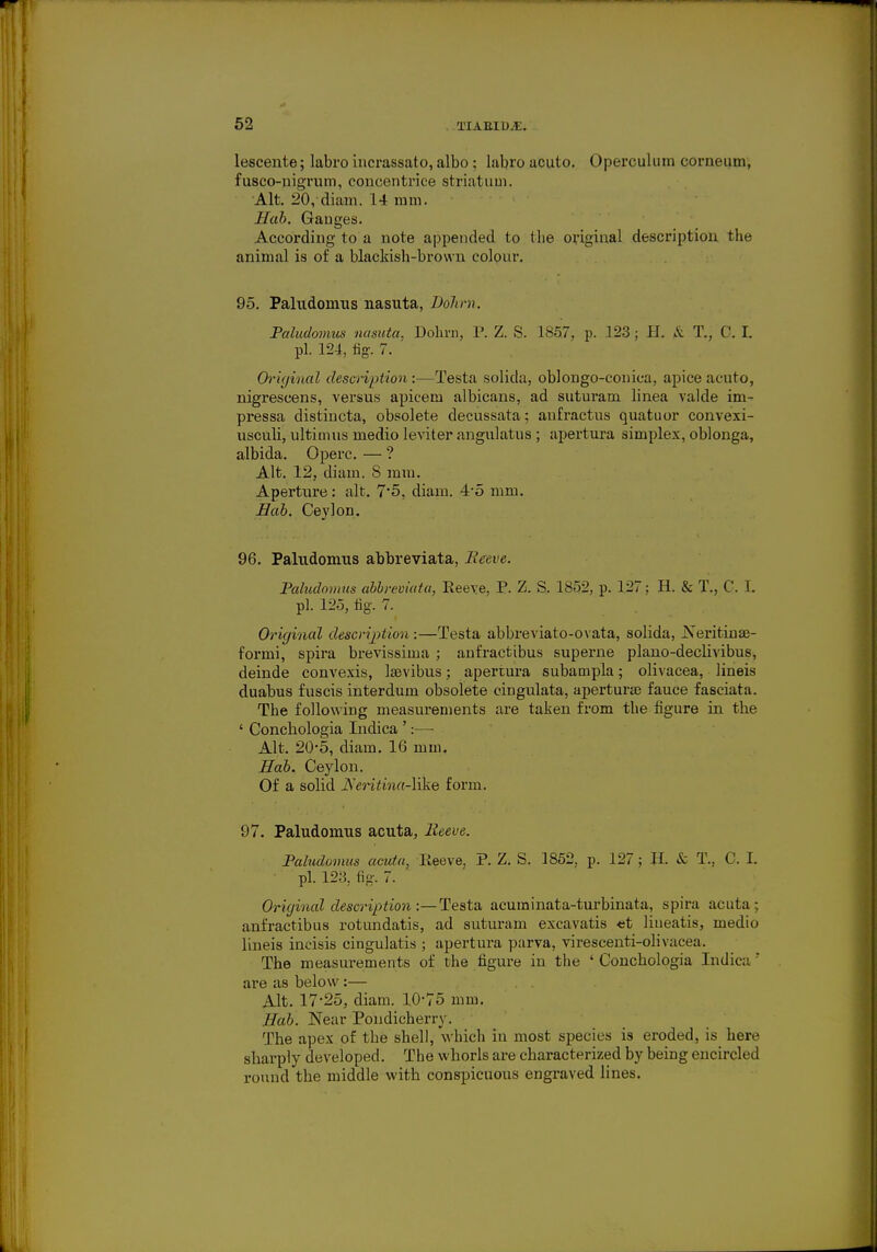 lescente; labro incrassato, albo; labro acuto. Operculum corneum, fusco-nigrum, coucentrice striatum. Alt. 20, diam. 14 mm. Bab. Gauges. According to a note appended to the original description the animal is of a blackish-brown colour. 95. Paludomus nasuta, DoJim. Paludomus nasuta, Dohrn, P. Z. S. 1857, p. 123; H. & T., C.I. pi. 124, tig. 7. Original description :—Testa solida, oblongo-conica, apice acuto, nigrescens, versus apicem albicans, ad suturam linea valde im- pressa distincta, obsolete decussata; aufractus quatuor convexi- usculi, ultimus medio leviter angulatus ; apertura simplex, oblonga, albida. Operc. — ? Alt. 12, diam. S mm. Aperture: alt. 7*5, diam. 4:5 mm. Bab. Ceylon. 96. Paludomus abbreviata, Reeve. Paludomus abbreviata, Reeve, P. Z. S. 1852, p. 127; H. & T., C. L pi. 125, fig. 7. Original description :—Testa abbreviato-ovata, solida, JSeritinse- formi, spira brevissima ; anfractibus superne plano-declivibus, deinde convexis, laevibus; apertura subampla; olivacea, lineis duabus fuscis interdum obsolete cingulata, aperturae fauce fasciata. The following measurements are taken from the figure in the ' Conchologia Indica ':— Alt. 20-5, diam. 16 mm. Eab. Ceylon. Of a solid JS eritina-Wke form. 97. Paludomus acuta, Reeve. Paludomus acuta, Ileeve, P. Z. S. 3852, p. 127; H. & T., C.I. pi. 123, fig. 7. Original description :—Testa acuminata-turbinata, spira acuta- anfractibus rotundatis, ad suturam excavatis «t linearis, medio lineis incisis cingulatis ; apertura parva, virescenti-olivacea. The measurements of the figure in the ' Conchologia Indica' are as below:— . , Alt. 17-25, diam. 10-75 mm. Bab. Near Pondicherry. The apex of the shell, which iu most species is eroded, is here sharply developed. The whorls are characterized by being encircled round the middle with conspicuous engraved lines.