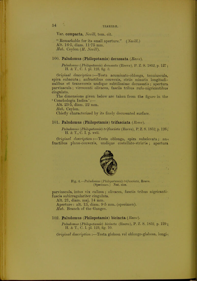 Var. compacta, Nevill, torn. cit.  Eemarkable for its small aperture. (Nevill.) Alt. 16-5, diain. 11-75 mm. Hab. Ceylon (H. Nevill). 100. Paludomus (Philopotamis) decussata {Reeve). Paludomus (Philopotamis) decussata (Reeve). P. Z. S. 1852. p. 127 : H. & T., 0. I. pi. 123, fig. 3. Original description :—Testa acuminato-oblonga, tenuiuscula, spira subacuta; anfractibus convexis, striis minutis longitudi- nalibus et transversis undique subtilissime decussatis ; apertura parviuscula; virescenti olivacea, fasciis tribus rufo-nigricantibus cingnlata. The dimensions given below are taken from the figure in the ' Conchologia Indica':— Alt. 23-5, diam. 22 mm. Hab. Ceylon. Chiefly characterized by its finely decussated surface. 101. Paludomus (Philopotamis) trifasciata (Reeve). Paludomus (Philopotamis) trifasciata (Reeve), P. Z. S. 1852, p. 126; H. & T., C. I. p. xvii. Original description:—Testa oblouga, spira subelevata; an-» fractibus plauo-couvexis, undique costellato-striatis ; apertura Fig. 4.—Paludomus (Philopotamis) trifasciata, Eeeve. (Specimen.) Nat. size. parviuscula, intus vix callosa; olivacea, fasciis tribus nigricanti- fuscis subirregulariter cingulata. Alt. 21, diam. maj. 14 mm. Aperture: alt. 13, diam. 9-5 mm. (specimen). Hab. Branch of the Ganges. 102. Paludomus (Philopotamis) bicincta (Reeve). Paludomus (Philopotamis) bicincta (Reeve), P. Z. S. 1852. p. 129; H. & T., C. I. pi. 123, fig. 10. Original description :—Testa globosa vel oblongo-globosa, longi-,