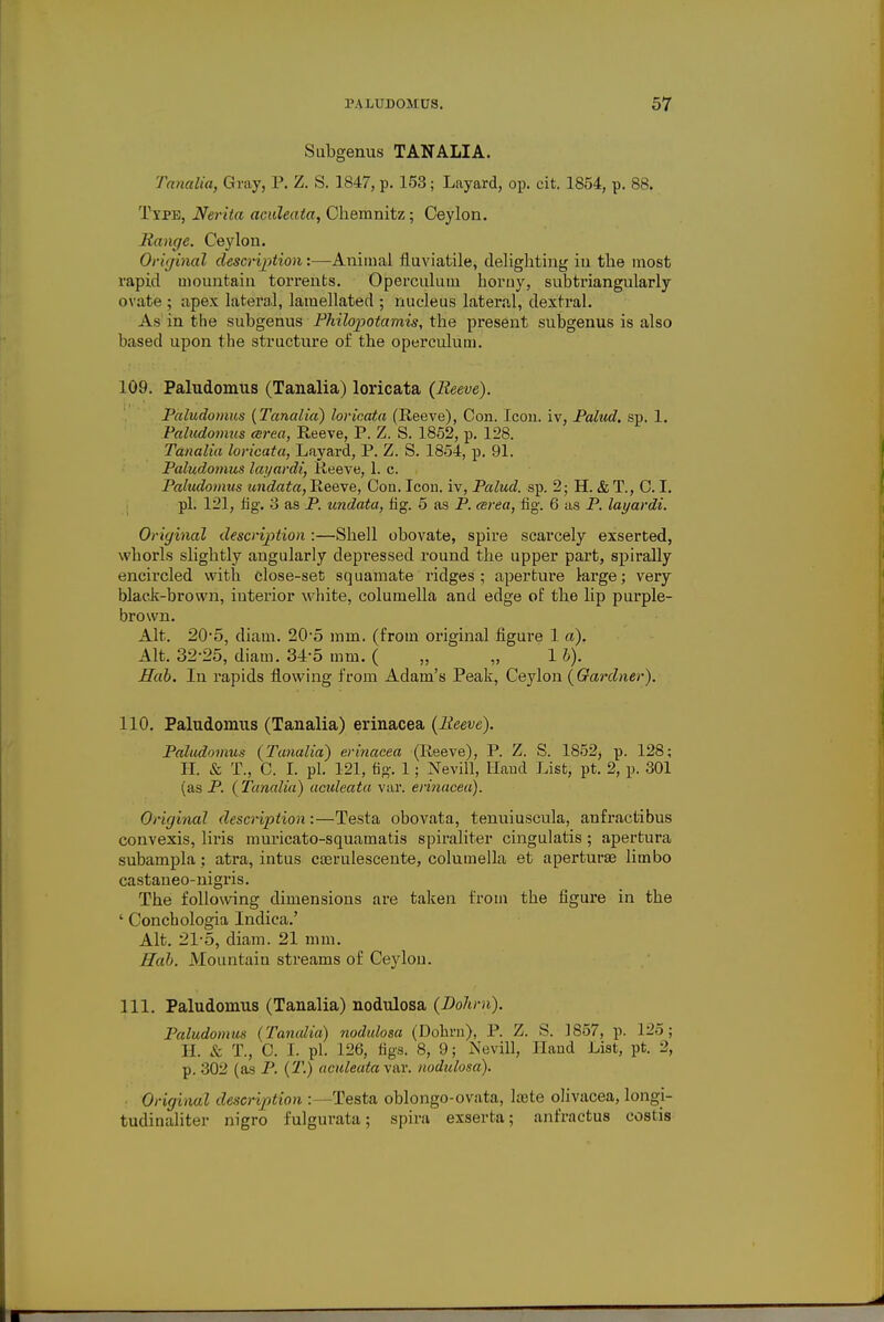 Subgenus TAN ALIA. Tanalia, Gray, P. Z. S. 1847, p. 153; Layard, op. cit. 1854, p. 88. Type, Nerita aculeata, Chemnitz; Ceylon. linage. Ceylon. Original description:—Animal fluviatile, delighting in the most vapid mountain torrents. Operculum horny, subtriangularly ovate ; apex lateral, lamellated ; nucleus lateral, dextral. As in the subgenus Philopotamis, the present subgenus is also based upon the structure of the operculum. 109. Paludomus (Tanalia) loricata (Reeve). Paludomus (Tanalia) loricata (Reeve), Con. Icon, iv, Palud. sp. 1. Paludomtis area, Reeve, P. Z. S. 1852, p. 128. Tanalia loricata, Layard, P. Z. S. 1854, p. 91. Paludomus layardi, Reeve, 1. c. Paludomus undata, Reeve, Con. Icon, iv, Palud. sp. 2; H. & T., C. I. pi. 121, fig. 3 as P. undata, fig. 5 as P. area, fig. 6 as P. layardi. Original description :—Shell obovate, spire scarcely exserted, whorls slightly angularly depressed round the upper part, spirally encircled with close-set squamate ridges ; aperture large; very black-brown, interior white, columella and edge of the lip purple- brown. Alt. 20*5, diam. 20-5 mm. (from original figure 1 a). Alt. 32-25, diam. 34-5 mm. ( „ „ 1 b). Hab. In rapids flowing from Adam's Peak, Ceylon {Gardner). 110. Paludomus (Tanalia) erinacea (Reeve). Paludomus (Tanalia) erinacea (Reeve), P. Z. S. 1852, p. 128; H. & T., C. I. pi. 121, fig-. 1; Nevill, Hand List, pt. 2, p. 301 (as P. {Tanalia) acideata var. erinaceii). Original description:—Testa obovata, tenuiuscula, anfractibus convexis, liris muricato-squamatis spiraliter cingulatis ; apertura subampla; atra, intus casrulescente, columella et aperturse limbo castaneo-nigris. The following dimensions are taken from the figure in the ' Conchologia Indica.' Alt. 21-5, diam. 21 mm. Hab. Mountain streams of Ceylon. 111. Paludomus (Tanalia) nodulosa (Dolim). Paludomus (Tanalia) nodulosa (Dohrn), P. Z. S. 1857, p. 125; H. & T., C. I. pi. 126, figs. 8, 9; Nevill, Hand List, pt. 2, ]i. 302 (as P. (T.) aculeata var. nodulosa). Original description : -Testa oblongo-ovata, lajte olivacea, longi- tudinaliter nigro fulgurata; spira exserta; anfractus costis