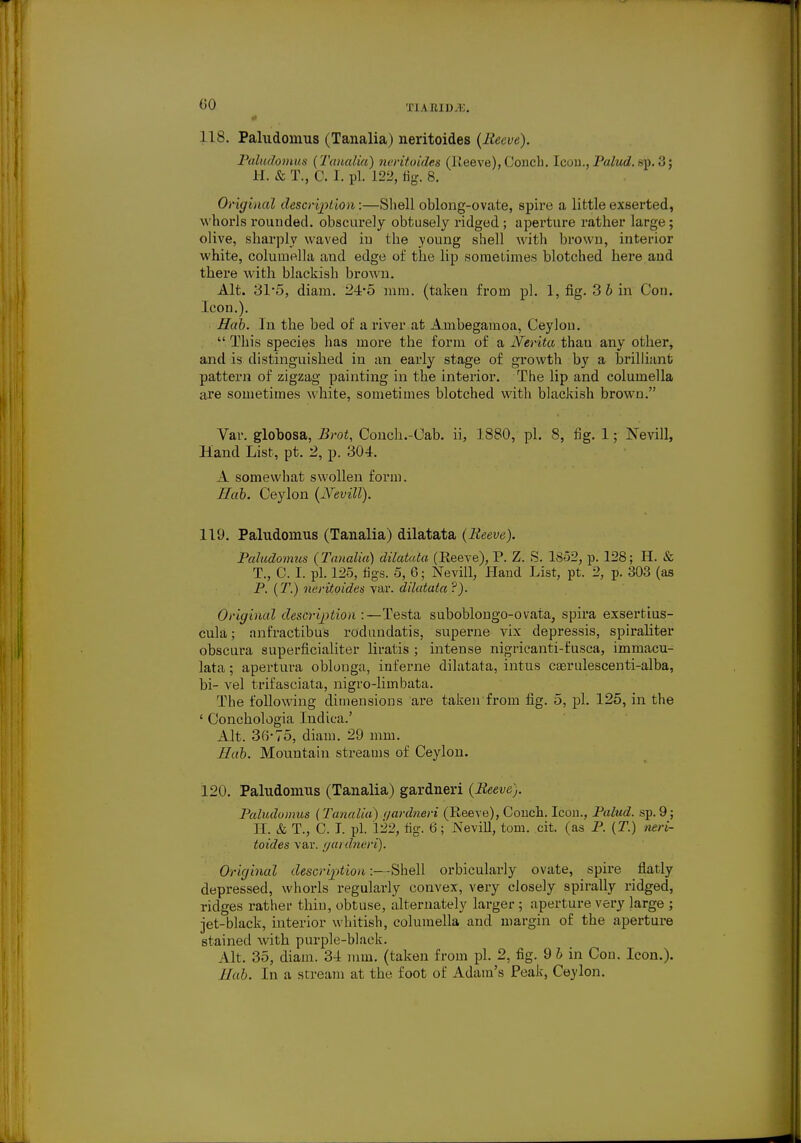 T] 1 aiDJE. 118. Paludomus (Tanalia) neritoides {Reeve). Paludomus (Tanalia) neritoides (Reeve), Conch. Icou., Palud. sp. 3; H. & T., 0. I. pi. 122, fig. 8. Original description:—Shell oblong-ovate, spire a little exserted, whorls rounded, obscurely obtusely ridged ; aperture rather large; olive, sharply waved iu the .young shell with brown, interior white, columella and edge of the lip sometimes blotched here and there with blackish brown. Alt. 31*5, diam. 24*5 mm. (taken from pi. 1, fig. 3 6 in Con. Icon.). Hah. In the bed of a river at Ambegamoa, Ceylon.  This species has more the form of a Nerita thau any other, and is distinguished in an early stage of growth by a brilliant pattern of zigzag painting in the interior. The lip and columella are sometimes white, sometimes blotched with blackish brown. Var. globosa, Brot, Conch.-Cab. ii, 1880, pi. 8, fig. 1; Nevill, Hand List, pt. 2, p. 304. A somewhat swollen form. Hah. Ceylon (Nevill). 119. Paludomus (Tanalia) dilatata (Reeve). Paludomus (Tanalia) dilatata (Reeve), P. Z. S. 1852, p. 128; H. & T., C. I. pi. 125, figs. 5, 6; Nevill, Hand List, pt. 2, p. 303 (as P. (T.) neritoides var. dilatata ?). Original description :—Testa suboblongo-ovata, spira exsertius- cula; anfractibus rodnndatis, superne vix depressis, spiraliter obscura superficialiter liratis ; intense nigricanti-fusca, immacu- lata; apertura oblonga, interne dilatata, intus caerulescenti-alba, bi- vel trifasciata, nigro-limbata. The following dimensions are taken from fig. 5, pi. 125, in the ' Conchologia Indica.' Alt. 3(5*75, diam. 29 mm. Hah. Mountain streams of Ceylon. 120. Paludomus (Tanalia) gardneri (Reeve). Paludomus (Tanalia) qardneri (Reeve), Conch. Icon., Palud. sp. 9; II. & T., C. I. pi. 122, tig. 6; Nevill, torn. cit. (as P. (T.) neri- toides var. ijuidneri). Original description:—Shell orbicularly ovate, spire flatly depressed, whorls regularly convex, very closely spirally ridged, ridges rather thin, obtuse, alternately larger; aperture very large ; jet-black, interior whitish, columella and margin of the aperture stained with purple-black. Alt. 35, diam. 34 mm. (taken from pi. 2, fig. 9 h in Con. Icon.). Hah. In a scream at the foot of Adam's Peak, Ceylon.