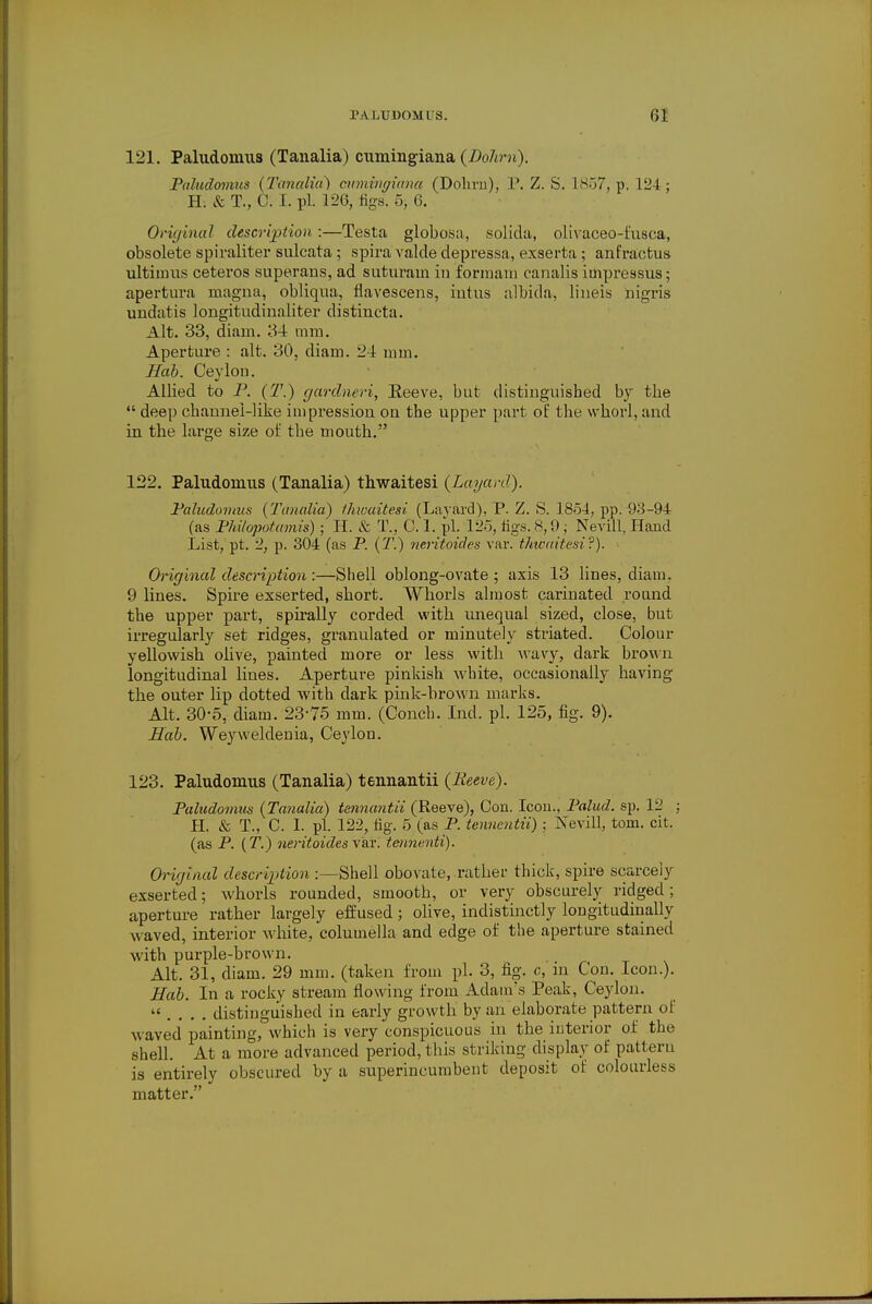 121. Paludomus (Tanalia) cumingiana (Dohm). Paludomus (Tanalia) cumingiana (Dolmi), P. Z. S. 1857, p. 124; H: .&T., C. I. pi. 120, figs, 5, 6. Original description:—Testa globosa, solida, olivaceo-fusca, obsolete spiraliter sulcata ; spira valcle depressa, exserta ; anfractus ultimus ceteros superans, ad suturain in formam canalis iinpressus; apertura magna, obliqua, flavescens, intus albida, lineis nigris undatis longitudinaliter distincta. Alt. 33, diam. 34 mm. Aperture : alt. 30, diam. 24 mm. Hub. Ceylon. Allied to P. (T.) gardneri, Keeve, but distinguished by the  deep channel-like impression on the upper part of the whorl, and in the large size of the mouth. 122. Paludomus (Tanalia) thwaitesi (Layard). Paludomus (Tanalia) tlwaitesi (Layard), P. Z. S. 1.854, pp;-93-94 (as Philopotamis) ; H. & T., C. 1. pi. 125, tigs. 8,9 ; Nevill, Hand List, pt. 2, p. 304 (as P. (T.) neritoidcs var. tlitoaitesi?). Original description :—Shell oblong-ovate ; axis 13 lines, diam. 9 lines. Spire exserted, short. Whorls almost cai'inated round the upper part, spirally corded with unequal sized, close, but irregularly set ridges, granulated or minutely striated. Colour yellowish olive, painted more or less with wavy, dark brown longitudinal lines. Aperture pinkish white, occasionally having the outer lip dotted with dark pink-brown marks. Alt. 30-5, diam. 23-75 mm. (Conch. Ind. pi. 125, fig. 9). Hab. Weyweldenia, Ceylon. 123. Paludomus (Tanalia) tennantii (Reeve). Paludomus (Tanalia) tennantii (Reeve), Con. Icon., Palud. sp. 12 : H. & T., C. 1. pi. 122, fig. 5 (as P. tennentii) ; Nevill, torn. cit. (as P. (T.) neritoidesVsx. tenhenii). Original description :—Shell obovate, rather thick, spire scarcely exserted; whorls rounded, smooth, or very obscurely ridged; aperture rather largely effused; olive, indistinctly longitudinally waved, interior white, columella and edge of the aperture stained with purple-brown. Alt. 31, diam. 29 mm. (taken from pi. 3, fig. c, in Con. Icon.). Hab. In a rocky stream flowing from Adam's Peak, Ceylon.  . . . . distinguished in early growth by an elaborate pattern of waved painting, which is very conspicuous in the interior of the shell. At a more advanced period, this striking display of pattern is entirely obscured by a superincumbent deposit of colourless matter.