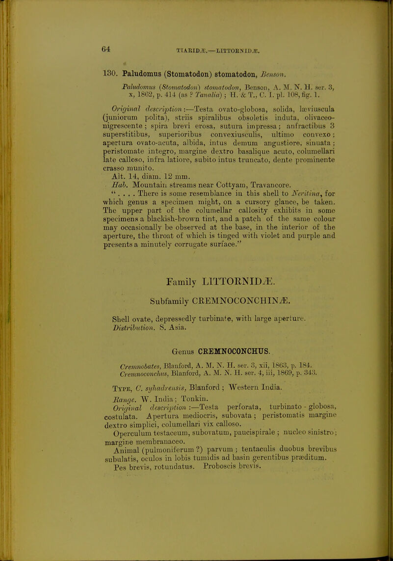 XI ARID^E.—LITTOBNIDM. 130. Paludomus (Stomatodon) stomatodon, Benson. Puhtdomus (Stomatodon) stomatodon, Benson, A. M. N. II. ser. 3, x, 18(32, p. 414 (as ? Tanalia) ; Tl. & T., 0. I. pi. L08, fig. 1. Original description:—Testa ovato-globosa, solida, lacviuscula (juniorum polita), striis spiralibus obsoletis induta, olivaceo- nigrescente; spira brevi erosa, sutura impressa; anfractibus 3 superstitibus, superioribus convexiusculis, ultimo convexo; apertura ovato-acuta, albida, intus denium angustiore, sinuata ; peristouiate integro, margine dextro basalique acuto, columellari late calloso, infra latiore, subito intus truncato, dente prominente crasso munito. Alt. 14, diam. 12 mm. Hah. Mountain streams near Cottyam, Travancore.  . . . . There is some resemblance in this shell to Neritina, for which genus a specimen might, on a cursory glance, be taken. The upper part of the columellar callosity exhibits in some specimens a blackish-brown tint, and a patch of the same colour may occasionally be observed at the base, in the interior of the aperture, the throat of which is tinged with violet and purple and presents a minutely corrugate surface. Family LITTORNIDtE. Subfamily CREMNOCONCHINjE. Shell ovate, depressedly turbinate, with large aperture. Distribution. S. Asia. Genus CREMNOCONCHUS. Cremnobates, Blanford, A. M. N. H. ser. 3, xii, 1863, p. 184. Cremnoconchus, Blanford, A. M. N. H. ser. 4, iii, 1869, p. 343. Type, C. sylwdrensis, Blanford ; Western India. Range. W.India; Tonkin. Original description :—Testa perforata, turbinato - globosa, costulata. Apertura mediocris, subovata ; peristomatis margine dextro simplici, columellari vix calloso. Operculum testaceum, subovatum, paucispirale ; nucleo sinistro; margine membranaceo. Animal (pulraoniferum ?) parvum ; tentaculis duobus brevibus subulatis, oculos in lobis tumidis ad basin gerentibus praedituni. Pes brevis, rotundatus. Proboscis brevis.