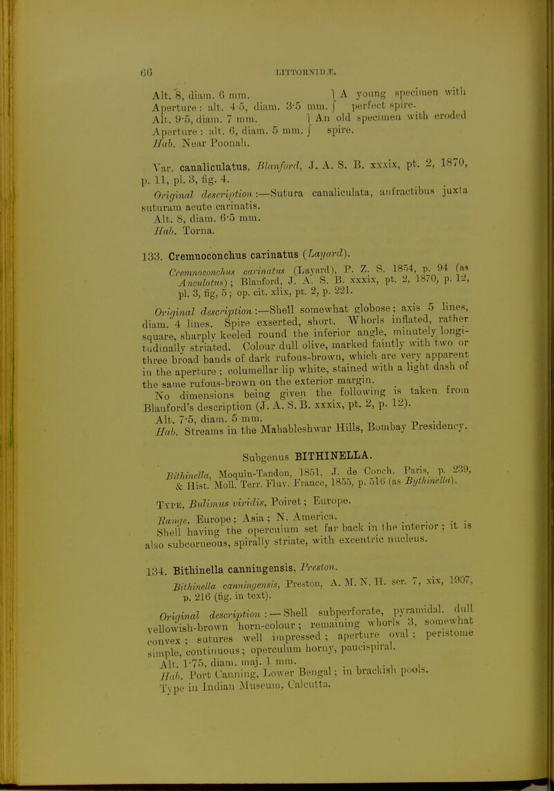 06 LTTTOR'NI I) E. Alt. 8, diam. 0 mm. \A young specimen with Aperture: alt. 4-5, diam. 3-5 mm. j perfect spire. Alt. 9-5, diam. 7 mm. 1 An old specimen with eroded Aperture : alt. 6, diam. 5 mm. j spire Hub. Near Poonah. Var. canaliculars, Blanford, J. A. S. B. xxxix, pfc. 2, 1870, p. 11, pi. 3, fig. 4. Original description:—Sutura canaliculata, anfractibus juxta suturam acute eariuatis. Alt. 8, diam. 6-5 mm. Nab. Torna. 133. Cremnoconchus carinatus (Layard). Cremnoconchus carinatus (Layard), P. Z. S. 1854 p. 94 (as Anculotm) ; Blanford, J. A. S. B. xxxix, pt. 2, 18/0, p. 12, pi. 3, fig, 5; op. cit. xlix, pt. 2, p. 221. Original description:—Shell somewhat globose; axis 5 lines, diam 4 lines. Spire exserted, short. Whorls inflated rather square, sharplv keeled round the inferior angle, minutely longi- tudinally striated. Colour dull olive, marked faintly with two or three broad bands of dark rufous-brown, which are very apparent in the aperture ; columeUar lip white, stained with a light dash ot the same rufous-brown on the exterior margin. _ No dimensions being given the following is taken troin Blanford's description (J. A. S. B. xxxix, pt. 2, p. 12). Alt. 7*5, diam. 5 mm. ., Bab. Streams in the Mahableshwar Hills, Bombay Presidency. Subgenus BITHINELLA. Bithvnella, Moquin-Tandon, 1851, J de Conch. Paris, p 239, & Hist. Moll Terr. Fluv. France, 1855, p. 516 (as Bythinella). Tvpe, Bulimus viridis, Poiret; Europe. Uanqe. Europe; Asia ; N. America. • .Shell having the operculum set far back m the interior; it is also subcorneous, spirally striate, with excentnc nucleus. 134. Bithinella canningensis, Preston. Bithvnella canningensis, Preston, A. M. N. H. ser. 7, xix, 1907. p. 216 (fig. in text). Original description :-Shell subperforate, pyramidal, dull yellowish-brown horn-colour; remaining whorls 8, somewhat lo^x-, sutures well impressed; aperture oval; peristome simple, continuous; operculum horny, paucispiral. Alt. 1-75, diam. maj. 1 mm. ffab. Port Canning, Lower Bengal; in brackish pools.