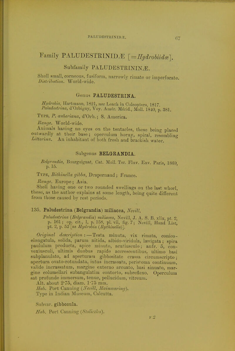 l>Ai,lw>KsTi;i\[i>.i:. Family PALUDESTRINIDvE [=IIydrobiid(e]. Subfamily PALUDESTRININjE. Shell small, corneous, fusiform, narrowly riruate or imperforate. Distribution. World-wide. Genus PALUDESTRINA. Hi/drobia, Hartmatin, 1821, nec Leach in Ooleoptera, 1817 Paludestrina, d'Orbiyny, Voy. Auier. Mend., Moll. 1810, p. 381. Type, P. auberiana, d'Orb.; S. America. Range. World-wide. Auimals having no eyes on the tentacles, these being placed outwardly at tlieir base; operculum horny, spiral, resembling Littorina. An inhabitant of both fresh and brackish water. Subgenus BELGRANDIA. Belt/randia, Bourguigiiat, Cat. Moll. Ter. Fluv. Env. Paris, 1869 p. 15. Ttpe, Bithinella gibba, Drapernaud; France. Range. Europe; Asia. Shell having one or two rounded swellings on the last whorl, these, as the author explains at some length, being quite different trom those caused by rest periods. 1:3-5. Paludestrina (Belgrandia) miliacea, Nevill. Paludestrina {Belgrandia) miliacea, Nevill, J. A. S. B. xlix, pt, 2, p. 161; op. cit., 1, p. 158, pi. vii, fig. 7; Nevill, Hand List) pt. 2, p. 52 [as Hydrobia (Bythinella)~]. Original description:—Testa minuta, vix rimata, conico- elongatula, solida, parum nitida, albido-viridula, laevigata ; spira paululum producta, apice miiuito, acutiusculo; anfr. 5, con- vexiusculi, ultimis duobus rapide accrescentibus, ultimo basi subplanulato, ad aperturatn gibbositate crassa circumscripto; apertura ovato-rotundata, iutus incrassata, peristoma continuum, valide incrassatum, margine externo arcuato, basi sinuato, mar- gine eolumellari subangulatim contorto, subrefiexo. Operculum sat profunde immersum, tenue, pellucidum, vitreum. Alt. about 2*75, diam. 1*75 mm. Hab. Port Canning (iVevill, Mainivaring). Type in Indian Museum, Calcutta. Subvar. gibbosula. Hob. Port Canning (Kloliczlca). r?2