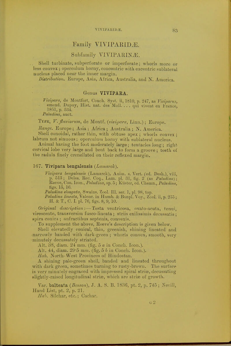 Family VIVIPAKIDiE. Subfamily VIVIPARINiE. Shell turbinate, sub perforate or imperforate; whorls more or less convex; operculum horny, concentric with exeentric sublateral nucleus placed near the inner margin. Distribution. Europe, Asia, Africa, Australia, and N. America. Genus VIVIPARA. Vivipara, de Montfort, Conch. Syst. ii, 1810, p. 247, as Vioiparus, emend. Dupuy, Hist. nat. des Moil. . . . qui vivent en France, 1851, p. 534. Paludina, auct. Toe, V.fluviorum, de Montf. (vivipara, Linn.); Europe. Range. Europe; Asia; Africa; Australia; JNT. America. Shell conoidal, rather thin, with obtuse apex ; whorls convex ; labrum not sinuous ; operculum horny with sublateral nucleus. Animal having the foot moderately large; tentacles long ; righh cervical lobe very large and bent back to form a groove ; teeth oE the radula finely crenellated on their reflexed margin. 167. Vivipara bengalensis (Lamarck). Vivipara bengalensis (Lamarck), Aaim. s. Vert. (ed. Desli.), viii, p. 513; Deles. Rec. Coq_., Lam. pi. 31, fig. 2 (as Paludina); Reeve, Con. Icon., Paludina, sp. 5; Kiister, ed. Chemn., Paludina, tigs. 15, 16. Paludina elongata, Swains. Zool. 111. ser. 1, pi. 98, top. Paludina lineata, Valenc. in Plumb. & Bonpl. Voy, Zool. ii, p. 255 ; IP. & T., C. I. pi. 76, tigs. 8, 9, 10. Original description:—-Testa ventricosa, ovato-acuta, tenui, virescente, transversim fusco-lineata ; striis exilissimis decussatis ; spira conica ; aufractibus septenis, convexis. To supplement the above, Reeve's description is given below. Shell elevatedly conical, thin, greenish, shining lineated and narrowly banded with dark-green ; whorls convex, smooth, very minutely decussately striated. Alt. 38, diam. 24 mm. (fig. 5 a in Conch. Icon.). Alt. 44, diam. 29*5 mm. (fig. 5 b in Conch. Icon.). Hub. North-West Provinces of Plinclostan. A shining pale-green shell, banded and lineated throughout with dark green, sometimes turning to rusty-brown. The surface is very minutely engraved with impressed spiral striae, decussating slightly-raised longitudinal stria?, which are stria? of growth. Var. balteata (Benson), J. A. S. B. 1836, pt. 2, p. 745 ; Nevill, Hand List, pt. 2, p. 21. llah. Silchar, etc.; Cachar. a2