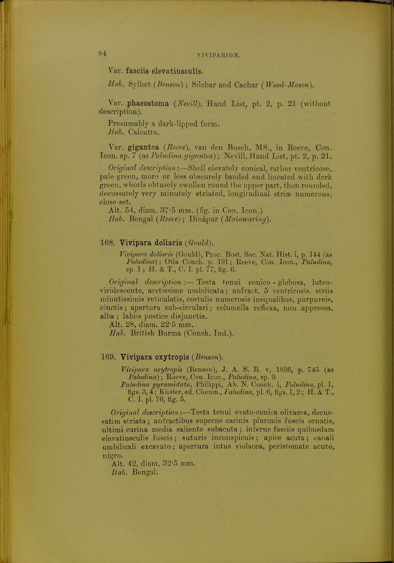 \ ar. fasciis elevatiusculis. Hal. Sylhel (Benson); Silchar and Cachar (Wood-Mr/son). Var. phaeostoma (Nevill), Hand List, pt. 2, p. 21 (without description). Presumably a dark-lipped form. Hah. Calcutta. Var. gigantea (Reeve), van den Busch, MS., in lleeve, Con. Icon. sp. 7 (as Paludina gigantea); Nevill, Hand List, pt. 2, p. 21. Original description -.—Shell elevately conical, rather ventricose, pale green, moro or less obscurely banded and lineated with dark green, whorls obtusely swollen round the upper part, then rounded, decussately very minutely striated, longitudinal strife numerous, close-set. Alt. 54, diam. 37*5 mm. (fig. in Con. Icon.). Hah. Bengal (Reeve); Dinapur (Mainwaring). 168. Vivipara doliaris (Gould). Vivipara doliaris (Gould), Proc. Boat. Soc. Nat. Hist, i, p. 144 (as Paludina); Otia Conch, p. 191; lleeve, Con. Icon., Paludina, sp. 1 ; H. & T., C. I. pi. 77, fig. 6. Original desertion :— Testa tenui conico - globosa, luteo- viridescente, arctissime uinbilicata; anfract. 5 ventricosis. striis minutissimis reticulatis, costulis numerosis inequalibus, purpureis, cinctis; apertura sub-circulari; columella reflexa, non appre.ssa, alba ; labiis postice disjunctis. Alt. 28, diam. 22-5 mm. Hah. British Burma (Conch. Ind.), 169. Vivipara oxytropis (Benson). Vivipara oxytropis (Benson), J. A. S. B. v, 1836, p. 745 (as Paludina) ; Beeve, Con. Icon., Paludina, sp. 9. Paludina pyramidata, Philippi, Ab. N. Conch, i, Ptdudina, pi. 1, figs. 3,4; Kiister, ed. Chenin., Paludina, pi. 6, fiys. 1, 2 ; H. & T., C. I. pi. 76, fig. 5. Original description:—Testa tenui ovato-conica olivacea, decus- satim striata; antractibus superne carinis plurimis f uscis ornatis, ultimi carina media saliente subacuta ; interne fasciis quibusdam elevatiusculis f uscis ; suturis inconspicuis ; apice acuta ; eanali umbilicali excavato; apertura intus violacea, peristomate acuto, nigro. Alt. 42, diam. 32-5 mm. Hah. Bengal.