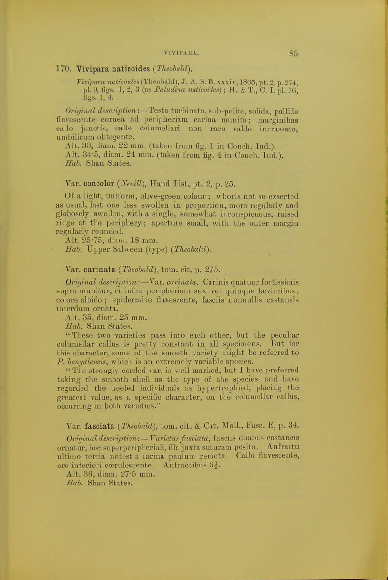 170. Vivipara naticoides {Theobald). Vivipara naticoides (Theobald), J. A. S. R. xx.vi v, 1865, pt. 2, p. L'74, pi. 9, %3. 1, 2, 3 (as Paludina naticoides); EL. & T., 0. I. pi. 76, figs. 1, 4. Original description:—Testa turbinata, sub-polita, solida, pallide flavescente cornea ad peripberiam carina munita; marginibus callo junctis, callo culuruellari nou raro valde incrassato, umbilicum obtegente. Alt. 33, cliam. 22 mm. (taken from fig. 1 in Conch. Ind.). Alt. 34-5, diam. 24 mm. (taken from fig. 4 in Coach. Ind.). Hab. Shan States. .Var. concolor (Jevill), Hand List, pt. 2, p. 25. Of a light, uniform, olive-green colour; whorls not so exserted as usual, last one less swollen in proportion, more regularly and globosely swollen, with a single, somewhat inconspicuous, raised ridge at the periphery; aperture small, with the outer margin regularly rounded. Alt. 25-75, diam. 18 mm. Hab. Upper Salween (type) (Theobald). Var. carinata (Theobald), torn. cit. p. 275. Original description:—Var. carinata. Carinis quatuor fortissimis supra munitur, et infra peripheriam sex vel quinque lsBvioribus; colore albido ; epidermide flavescente, fasciis nonuullis castaueis interdum ornata. Alt. 35, diam. 25 mm. Hab. Shan States.  These two varieties pass into each other, but the peculiar columellar callus is pretty constant in all specimens. But for this character, some of the smooth variety might be referred to P. bengalensis, which is an extremely variable species.  The strongly corded var. is well marked, but I have preferred taking the smooth shell as the type of the species, and have regarded the keeled individuals as hypertrophied, placing the greatest value, as a specific character, on the columellar callus, occurring in both varieties. Var. fasciata (Theobald), torn. cit. & Cat. Moll., Ease. E, p. 34. Original description:—Varietas fasciata, fasciis duabus castaneis ornatur, hue superperipheriali, ilia juxta suturam posita. Anfractu ultimo tertia notest a carina paulum remota. Callo flavescente, ore interiori ccerulescente. Anfractibus Cig. Alt. 36, diam. 27'5 mm. Bab. Shau States.