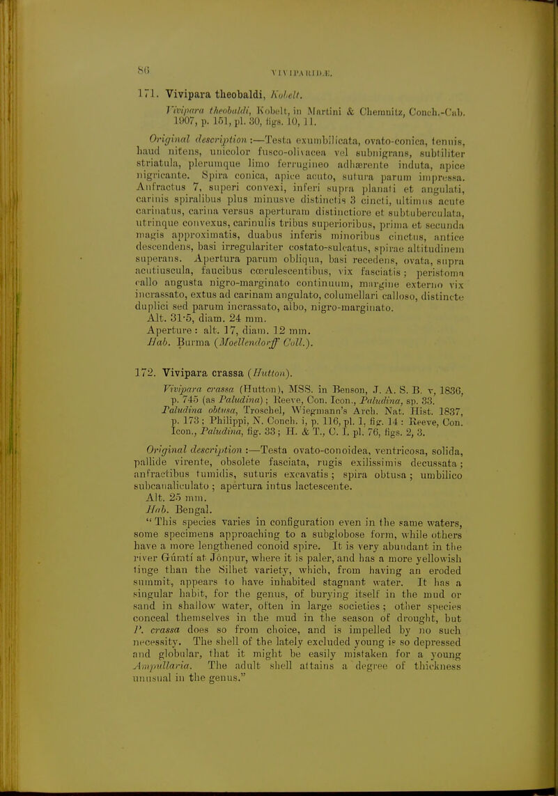 8(5 171. Vivipara theobaldi, Kobelt. Fivipara theobaldi, Kobelt, in Martini & Chemnitz, Conch.-Ciib. 1907, p. 161, pi. 30, tigs. 10, 11. Original description:—Testa exumbilicata, ovato-conica, tenuis, baud nitens, unicolor fusco-olivacea ve] subnigrans, subtiliter striatula, plerumque limo Eerrugineo adhserente induta, apice nigricante. Spira conica, apice acuto, sutura parum impresea. Ant'ractus 7, superi convexi, inferi supra planati et angulati, carinis spiralibus plus minusve distinct^ 3 cincti, ultimus acute carinatus, carina versus aperturam distinctiore ei subtuberculata, utrinque convexus, carinulis tribus superioribus, prima et Becunda magis approximates, duabus inferis minoribus cinctiie, antice descendens, basi irregulariter costato-sulcatus, spirae altitudinein superans. Apertura parum obliqua, basi recedens, ovata, supra acutiuscula, faucibus coerulescentibus, vix t'asciatis; peristoma rallo augusta nigro-rnarginato continuum, margine exteruo vix incrassato, extus ad carinam angulato, columellari calloso, distinete dupliei sed parum incrassato, albo, nigro-marginato. Alt. 31-5, diam. 24 mm. Aperture : alt. 17, diam. 12 mm. Bab. Burma (Moellendorff Coll.). 172. Vivipara crassa (Button). Vivipara crassa (Button), MSS. in Benson, J. A. S. B. v, 183G, p. 745 (as Paludina); Keeve, Con. Icon., Paludina, sp. 33. Paludina obt.vsa, Troschel, Wiegmann's Arch. Nat. Hist. 1837, p. 173 ; Philippi, N. Conch, i, p. 116, pi. 1, fig. 14 : Reeve, Con. Icon., Paludina, fig. 33; H. & T., C. I. pi.' 76, figs. 2, 3. Original description :—Testa ovato-conoidea, ventricosa, solida, pallide virente, obsolete fasciata, rugis exilissimis decussata; anfractibus tumidis, suturis excavatis; spira obtusa; umbilico subcanaliculato ; apertura intus lactescente. Alt. 25 mm. JIab. Bengal.  This species varies in configuration even in the same waters, some specimens approaching to a subglobose form, while others have a more lengthened conoid spire. It is very abundant in the river Gumtf at Jonpur, where it is paler, and has a more yellowish tinge than the JSilhet variety, which, from having an eroded summit, appears 1o have inhabited stagnant water. It has a singular habit, for the genus, of burying itself in the mud or sand in shallow water, often in large societies ; other species conceal themselves in the mud in the season of drought, but P. crassa does so from choice, and is impelled by no such necessity. The shell of the lately excluded young i? so depressed and globular, that it might be easily mistaken for a young Ampullaria. The adult shell attains a degree of thickness unusual in the genus.