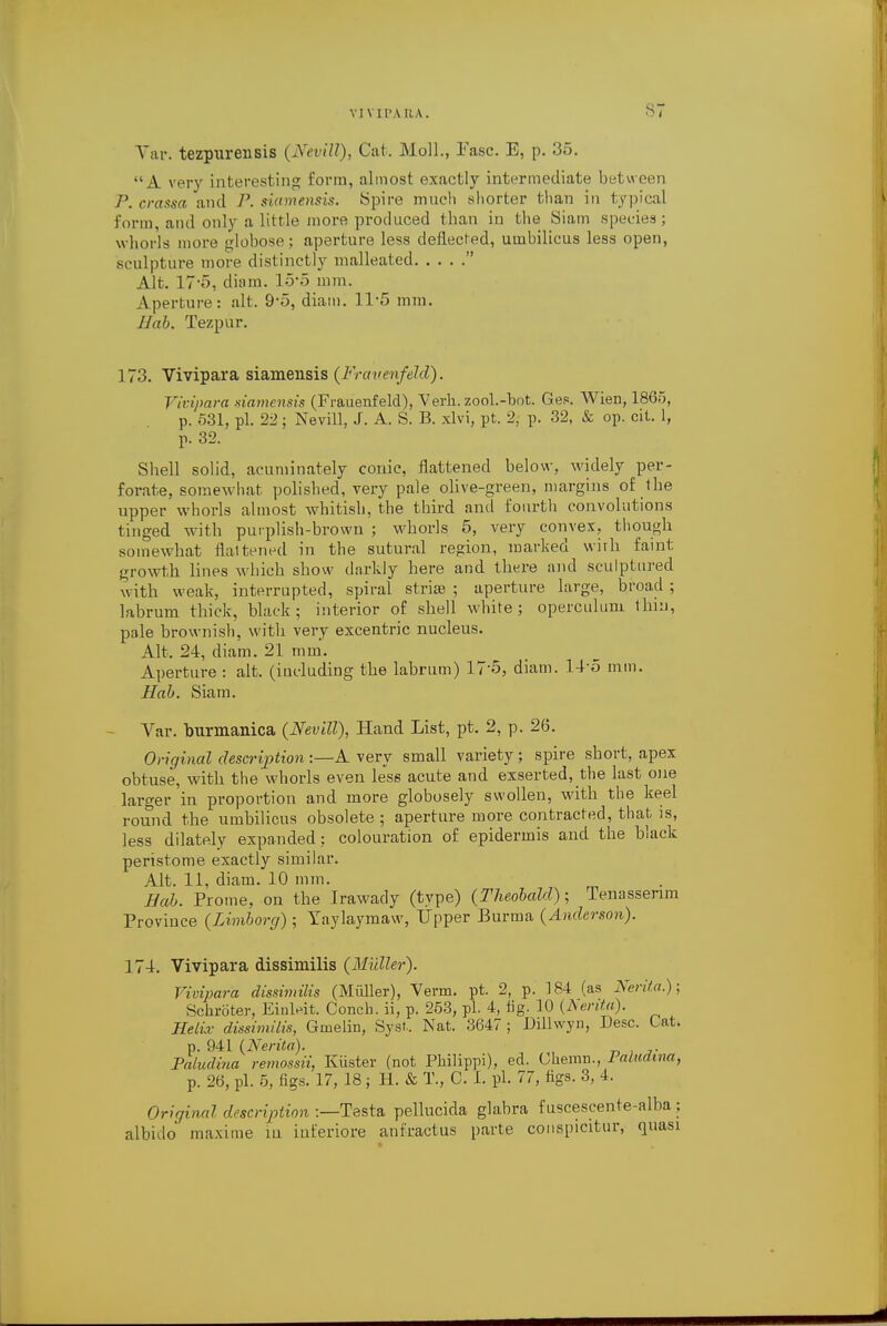 Yiu-. tezpurensis (Nevill), Cat. Moll., Fasc. E, p. 35. A very interesting form, almost exactly intermediate between P. crassa and P. siamensis. Spire much shorter than in typical form, and only a little more produced than in the Siam species; whorls more globose; aperture less deflected, umbilicus less open, sculpture more distinctly malleated  Alt. 17*5, diam. 15-5 mm. Aperture: alt. 9*5, diam. 11-5 mm. Hab. Tezpur. 173. Vivipara siamensis (Frauenfeld). Vivipara xiamcnsis (Frauenfeld), Verb, zool.-bot. Ges. Wien, 1865, p. 531, pi. 22; Nevill, J. A. S. B. xlvi, pt. 2, p. 32, & op. cit. 1, p. 32. Shell solid, acumina tely conic, flattened below, widely per- forate, somewhat polished, very pale olive-green, margins of the upper whorls almost whitish, the third and fourth convolutions tinged with purplish-brown ; whorls 5, very convex, though somewhat flaltened in the sutural region, marked with faint growth lines which show darkly here and there and sculptured with weak, interrupted, spiral strias ; aperture large, broad ; labrum thick, black; interior of shell white; operculum thin, pale brownish, with very excentric nucleus. Alt. 24, diam. 21 mm. Aperture : alt. (including the labrum) 17*5, diam. 14*5 mm. Hab. Siam. - Var. burmanica (Nevill), Hand List, pt. 2, p. 26. Original description :—A very small variety; spire short, apex obtuse, with the whorls even less acute and exserted,_tbe last one larger'in proportion and more globosely swollen, with the keel round the umbilicus obsolete ; aperture more contracted, that is, less dilately expanded ; colouration of epidermis and the black peristome exactly similar. Alt. 11, diam. 10 mm. Hab. Prome, on the Irawady (type) (Theobald); Tenassenm Province (Limborg); Yaylaymaw, Upper Burma (Anderson). 174. Vivipara dissimilis (Midler). Vivipara dissimilis (Midler), Verm. pt. 2, p. 184 (as Nerita.); Schroter, Einleit. Conch, ii, p. 253, pi. 4, fig. 10 (Nerita). HelLv dissimilis, Ginelin, Syst.. Nat. 3647 ; Dillwyn, Desc. Cat. p. 941 (Nerita). Paludina remossii, Kiister (not Philippi), ed. Ckemn., Paludma, p. 26, pi. 5, figs. 17, 18 ; H. & T., C. I. pi. 77, tigs. 3, 4. Oriqina I description :—Testa pellucida glabra f uscescente-alba ; albido maxime m iuferiore anfractus parte couspicitur, quasi
