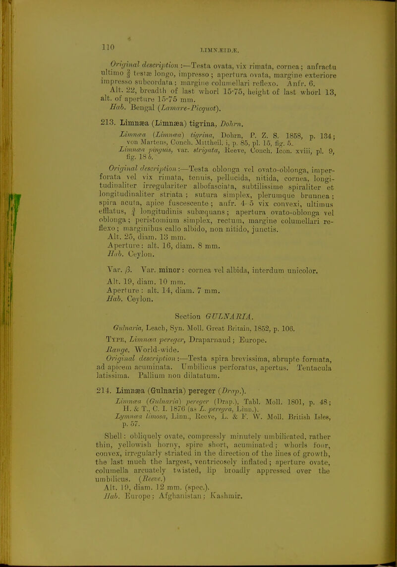 LIMSTJEIDjE. Original description :—Testa ovata, vix rimata, cornea; anfractu ultimo § testae longo, impresso ; apertura ovata, margine exteriore impresso subcordata; margine columellari reflexo. Anfr. 6. Alt. 22, breadth of last whorl 15-75, height of last whorl 13, alt. of aperture 15-75 mm. Hub. Bengal (Lamare-Picquot). 213. Limnaea (Limnaea) tigrina, DoTirn. Limncea (Limnaa) tigrina, Dohrn, P. Z. S. 1858, p. 134; von Martens, Conch. Mittheil. i, p. 85, pi. 15, fig. 5.. Limnaa pmffuis, var. strigata, Reeve, Conch'. Icon, xviii, pi. 9. fig. 18 b. ' * ' Original description :—Testa oblonga vel ovato-oblonga, imper- forata \el vix rimata, tenuis, pellncida, nitida, cornea, longi- tudinalirer irregulariter albofasciata, subtilissime spiraliter et longitudinaliter striata ; sutura simplex, plerumque bruunea; spira acala, apice fnscesceate ; anfr. 4-5 vix convexi, ultimus efflatus, | longitudinis subaequans; apertura ovato-oblonga vel oblonga; peristomium simplex, rectum, margine columellari re- flexo; marginibus callo albido, non nitido, junctis. Alt. 25, diam. 13 mm. Aperture: alt. 16, diam. 8 mm. Hub. Ceylon. Var. ft. Var. minor: cornea vel albida, interdum unicolor. Alt. 19, diam. 10 mm. Aperture : alt. 14, diam. 7 mm. Bab. Ceylon. Section GULNARIA. Gulnaria, Leach, Syn. Moll. Great Britain, 1852, p. 106. Type, Limncea pereger, Draparnaud; Europe. Mange. World-wide. Original description :—Testa spira brevissiina, abrupte formata, ad apicetn acuminata. Umbilicus perforatum, apertus. Tentacula latissima. Pallium non dilatatum. 214. Limnaea (Gulnaria) pereger {Drop.). Limncea (Gulnaria) pereger (Drap.), Tabl. Moll. 1801, p. 48; H. & T., C. I. 1876 (as L. peregra, Linn.). Lymnaa limosa, Linn., Reeve, L. & F. W. Moll. British Isles, p. 57. Shell: obliquely ovate, compressly minutely umbilicated, rather thin, yellowish horny, spire short, acuminated; whorls four, convex, irregularly striated in the direction of the lines of grou t h, the last much the largest, ventricosely inflated; aperture ovate, columella arcuately twisted, lip broadly appressed over the umbilicus. (Reeve.) Alt. 19, diam. 12 mm. (spec). Hub. Europe; Afghanistan; Kashmir.