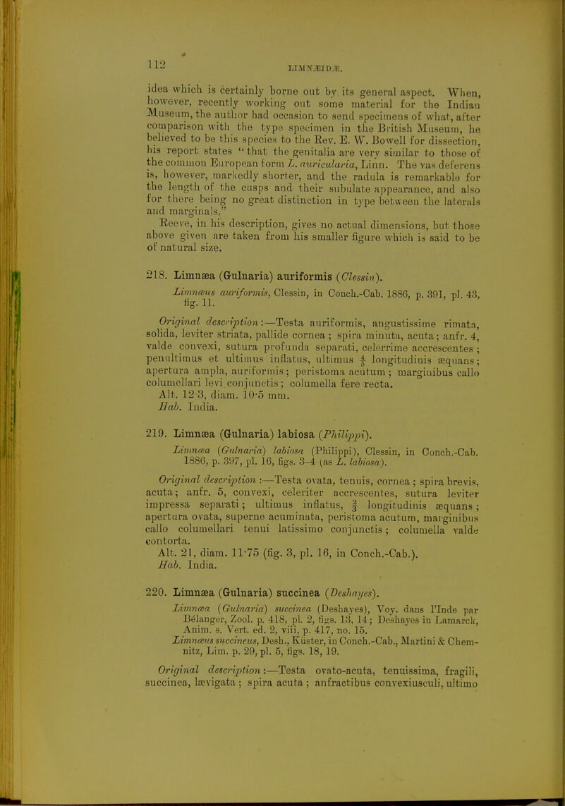limxjEid.t:. idea which is certainly borne out by its general aspect. When, however, recently working out some material for the Indian Museum, the author had occasion to send specimens of what, after comparison with the type specimen in the British .Museum, he believed to be this species to the Rev. E. W. Bowell for dissection, his report states that the genitalia are very similar to those of the common European form L. auricularia, Linn. The vas deferens is, however, markedly shorter, and the radula is remarkable for the length of the cusps and their subulate appearance, and also for there being no great distinction in type betweeu the laterals and marginals. Eeeve, in his description, gives no actual dimensions, but those above given are taken from his smaller figure which is said to be of natural size. 218. Limnaea (Gulnaria) auriformis (Clessin). Limncens auriformis, Clessin, in Conch-Cab. 1886, p. 391, pi. 43, fig. 11. Original description:—Testa auriformis, angustissime rimatn, solida, leviter striata, pallide cornea ; spira minuta, acuta; anfr. 4, valde convexi, sutura profunda separati, celerrime accrescentes ; penultimus et ultimus inflatus, ultimus i longitudinis sequans; apertura ampla, auriformis; peristoma acutum ; margiuibus callo columellari levi conjunctis ; columella fere recta. Alt, 12 3, diani. 10-5 mm. Hob. India. 219. Limnaea (Gulnaria) labiosa (Philijjpi), Limnata (Gulnaria) labiosa (Philippi), Clessin, in Conch.-Cab. 1886, p. 397, pi. 16, figs. 3-4 (as L. labiosa). Original description :—Testa ovata, tenuis, cornea; spira bre\-is. acuta; anfr. 5, convexi, celeriter accrescentes, sutura leviter impressa separati ; ultimus inflatus, § longitudinis aequans; apertura ovata, superne acuminata, peristoma acutum, marginibus callo columellari tenui latissimo conjunctis; columella valde contorta. Alt. 21, diam. 1175 (fig. 3, pi. 16, in Conch.-Cab.). Hab. India. 220. Limnaea (Gulnaria) succinea (Deshayes). Limncea (Gulnaria) succinea (Deshayes), Voy. dans l'Inde par Belanger, Zool. p. 418, pi. 2, ti»s. 13, 14; Deshayes in Lamarck, Anim. s. Vert. ed. 2, viii, p. 417, no. 15. Limncevs succineus, Desh., Kiister, in Conch.-Cab., Martini & Chem- nitz, Lim. p. 29, pi. 6, figs. 18, 19. Original description:—Testa ovato-acuta, tenuissima, fragili, succinea, laevigata ; spira acuta ; anfractibus convexiusculi, ultimo