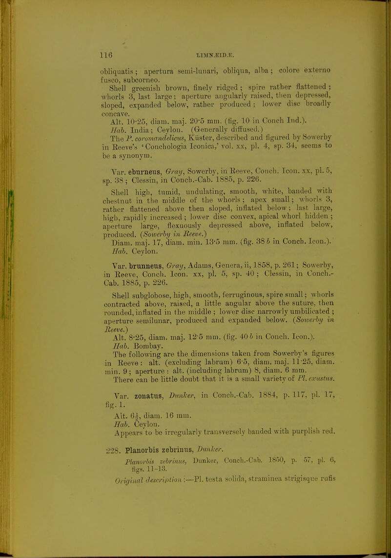 obliquatis; apertura semi-lunari, obliqua, alba; colore externo Eusco, subcorneo. Shell greenish brown, finely ridged ; spire rather flattened ; whorls 3, last large; aperture angularly raised, then depressed, sloped, expanded below, rather produced ; lower disc broadly concave. Alt. 10-25, diam. maj. 20-5 mm. (fig. 10 in Conch Ind.). Hab. India; Ceylon. (Generally diffused.) The P. eoromcincielicus, Kiister, described and figured by Sowerby in Eeeve's 'Conchologia Iconica,' vol. xx, pi. 4, sp. 34, seems to be a synonym. Var. eburneus, Gray, Sowerby, in Eeeve, Conch. Icon, xx, pi. 5, sp. 38 ; Clessin, in Concb.-Cab.'1885, p. 226. Shell high, tumid, undulating, smooth, white, banded with chestnut in the middle of the whorls; apex small; whorls 3, rather flattened above then sloped, inflated below; last large, high, rapidly increased ; lower disc convex, apical whorl hidden ; aperture large, flexuously depressed above, inflated below, produced. (Soiverby in Beeve.) Diam. maj. 17, diam. ruin. 13*5 mm. (fig. 38 6 in Conch. Icon.). Hab. Ceylon. Var. brunneus, Gray, Adams, Genera, ii, 1858, p. 261; Sowerby, in Eeeve, Conch. Icon, xx, pi. 5, sp. 40 ; Clessin, in Conch.- Cab. 1885, p. 226. Shell subglobose, high, smooth, ferruginous, spire small; whorls contracted above, raised, a little angular above the suture, then rounded, inflated in the middle ; lower disc narrowly umbilicated ; aperture semilunar, produced and expanded below. (Soiverby in Beeve.) Alt. 8-25, diam. maj. 12-5 mm. (fig. 40 b in Conch. Icon.). Hab. Bombay. The following are the dimensions taken from Sowerby's figures in Eeeve: alt. (excluding labrurn) 6-5, diam. maj. 11*25, diam. min. 9 ; aperture : alt. (including labrum) 8, diam. 6 mm. There can be little doubt that it is a small variety of PI. exustus. Var. zonatus, Bunlcer, in Concb.-Cab. 1884, p. 117, pi. 17, fig.l. Alt. 6|, diam. 16 mm. Hab. Ceylou. Appears'to be irregularly transversely banded with purplish red. 228. Planorbis zebrinus, Danker. Planorbis zebrinus, Dunker, Conch.-Cnb. 1850, p. 57, pi. 6, figs. 11-13. Original description:—PI. testa solida, straminea strigisque rufis