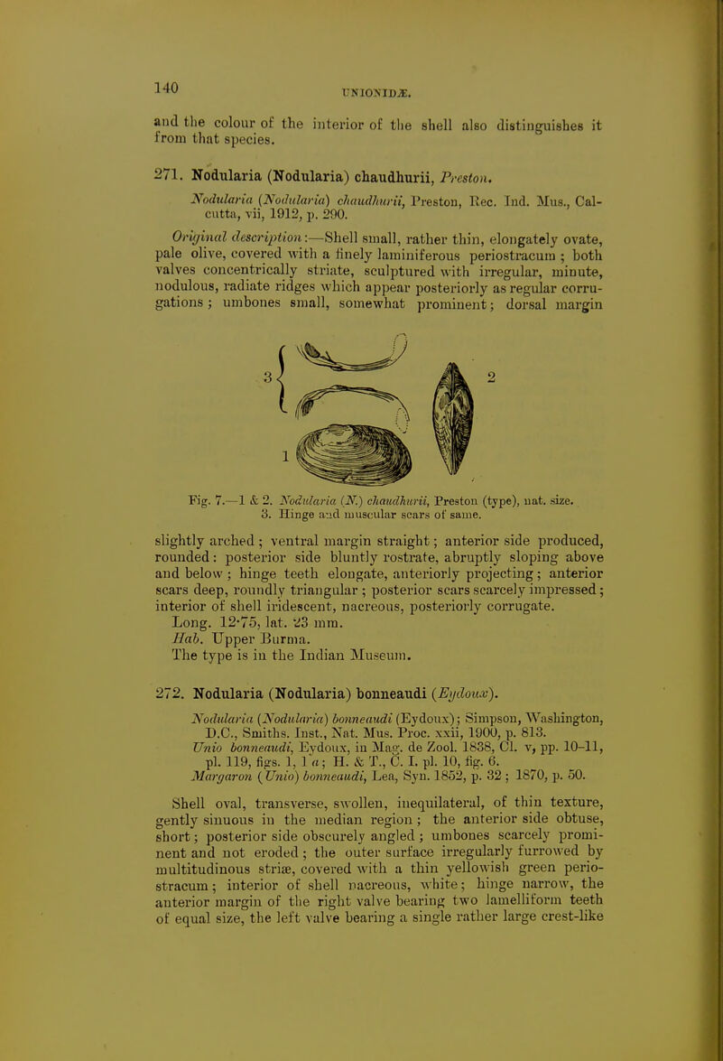 UNIONISE. and the colour of the interior of the shell also distinguishes it from that species. 271. Nodularia (Nodularia) chaudhurii, Preston. Nodularia (Nodularia) chaudhurii, Preston, Rec. Ind. Mus., Cal- cutta, vii, 1912, p. 290. Original description:—Shell small, rather thin, elongately ovate, pale olive, covered with a finely laminiferous periostracura ; both valves concentrically striate, sculptured with irregular, minute, nodulous, radiate ridges which appear posteriorly as regular corru- gations ; umbones small, somewhat prominent; dorsal margin Fig. 7.—1 & 2. Nodularia (N.) chaudhurii, Preston (type), nat. size. 3. Hinge and muscular scars of same. slightly arched ; ventral margin straight; anterior side produced, rounded: posterior side bluntly rostrate, abruptly sloping above and below; hinge teeth elongate, anteriorly projecting; anterior scars deep, roundly triangular ; posterior scars scarcely impressed; interior of shell iridescent, nacreous, posteriorly corrugate. Long. 12-75, lat. 23 mm. Hah. Upper Burma. The type is in the Indian Museum. 272. Nodularia (Nodularia) bonneaudi {Eydoux). Nodularia (Nodularia) bonneaudi (Eydoux); Simpson, Washington, D.C., Smiths. Inst., Nat. Mus. Proc. xxii, 1900, p. 813. JJnio bonneaudi, Eydoux, in Mas-, de Zool. 1838, CI. v, pp. 10-11, pi. 119, figs. 1, 1 a; H. & T., C. I. pi. 10, fig. 6. Margaron ( Unio) bonneaudi, Lea, Syn. 1852, p. 32 ; 1870, p. 50. Shell oval, transverse, swollen, inequilateral, of thin texture, gently sinuous in the median region; the anterior side obtuse, short; posterior side obscurely angled ; umbones scarcely promi- nent and not eroded; the outer surface irregularly furrowed by multitudinous striae, covered with a thin yellowish green perio- stracum; interior of shell nacreous, white; binge narrow, the anterior margin of the right valve bearing two lamelliform teeth of equal size, the left valve bearing a single rather large crest-like
