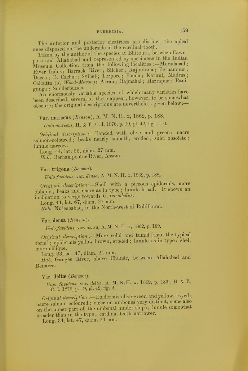 1'AltREYSIA. The anterior and posterior cicatrices are distinct, the apical cm s disposed on the underside of the cardinal tooth. Taken by the author of the species at Bhitoura, between Cawn- pore and Allahabad and represented by specimens in the Indian Museum Collection from the following localities :—Moradabad ; River Indus; Barrack River; Silcher; Rajputana; Berhampur; Dacca - E. Cachar; Sylhet; Tezpore; Poona ; Karuul, Madras ; Calcutta (J. Wood-Mason); Arrah; Rajmahal; Ilazrapur; Rani- gunga; Suuderbunds. _ . An enormously variable species, of which many varieties have been described, several of these appear, however, to be somewhat obscure; the original descriptions are nevertheless given below:— Var. marcens (Benson), A. M. N. H. x, 1862, p. 188. Unto marcens, H. & T., 0. I. 1876, p. 39, pi. 42, figs. 4-6. Original description :—Banded with olive and green; nacre salmon-coloured; beaks nearly smooth, eroded ; sulci obsolete; lunule narrow. Long. 44, lat. 66, diam. 27 mm. Hob. Berhampooter River, Assam. Var. trigona (Benson). TJnio favidens, var. densa, A. M. N. 11. x, 1862, p. 188. Original description:—Shell with a piceous epidermis, more oblique ; beaks and nacre as in type; lunule broad. It shows an inclination to verge towards U. triembolus. Long. 44, lat, 67, diam. 27 mm. Hub. Nujeebabad, in the North-west of Rohilknnd. Yar. densa (Benson). Unio favidens, var. densa, A. M. N. H. x, 1862, p. 189. Original desertion -.—More solid and tumid [than the typical form] ; epidermis yellow-brown, eroded ; lunule as m type ; shell more oblique. Long. 33, lat. 47, diam. 24 mm. , Hab. Granges River, above Chunar, between Allahabad and Benares. Yar. deltse (Benson). Unio favidens, var. delta, A. M. N.H. x, 1862, p. 189; H. & T., C. 1.1876, p. 19, pi. 42, fig. 2. Original description :—Epidermis olive-green and yellow, rayed ; nacre salmon-coloured ; rugse on umbones very distinct, some also on the upper part of the umbonal hinder slope; lunule somewhat broader than in the type; cardinal teeth narrower. Long. 34, lat. 47, diam. 24 mm.