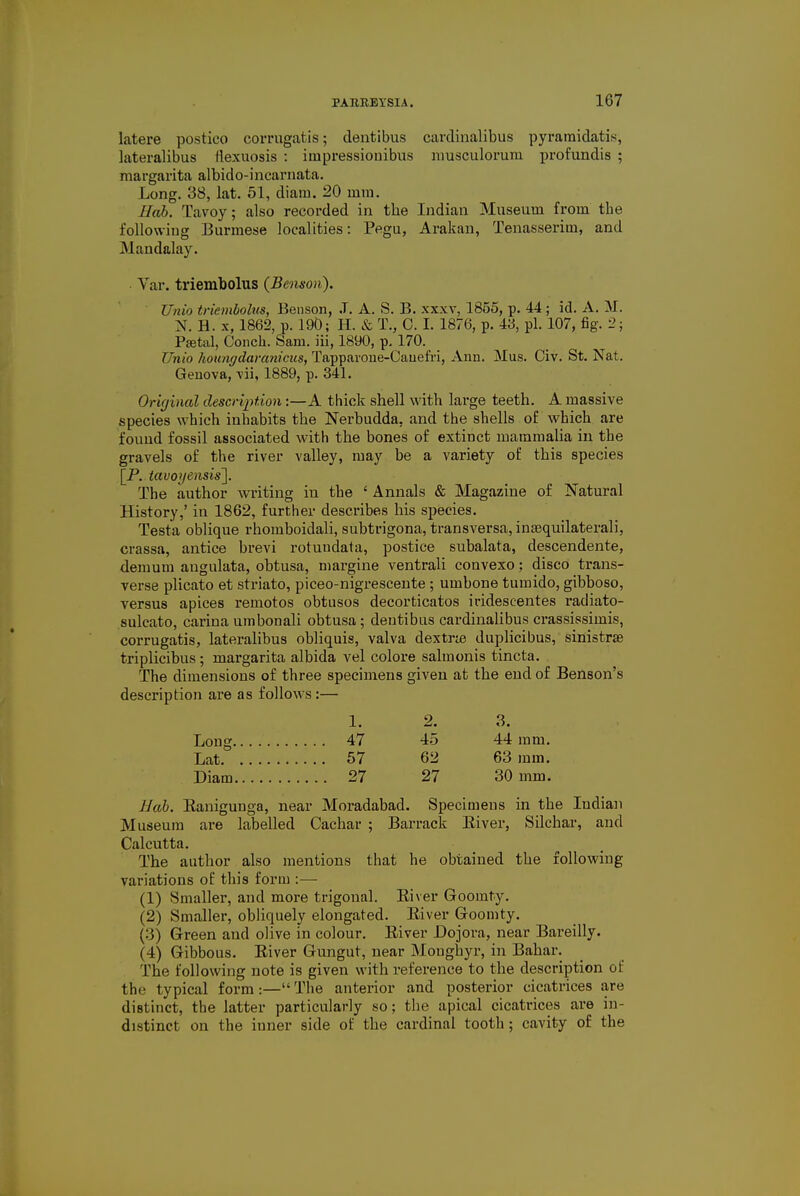 latere postico comigatis; dentibus eardinalibus pyramidatis, lateralibus flexuosis : iinpressiouibus musculorum profundis ; margarita albido-incarnata. Long. 38, lat. 51, diam. 20 inm. Hob. Tavoy; also recorded in tbe Indian Museum from the following Burmese localities: Pegu, Arakan, Tenasserim, and Mandalay. Var. triembolus (Benson). Unio triembolus, Benson, J. A. S. B. xxxv, 1855, p. 44 ; id. A. M. N. H. x, 1862, p. 190; H. & T., C. I. 1876, p. 43, pi. 107, fig. 2; Ptetal, Conch. Sam. iii, 1890, p. 170. Unio houngdaranicus, Tapparone-Cauefri, Ann. Mus. Civ. St. Nat. Genova, vii, 1889, p. 341. Original description:—A thick shell with large teeth. A massive species which inhabits the Nerbudda, and the shells of which are found fossil associated with the bones of extinct mammalia in the gravels of the river valley, may be a variety of this species \P..tavoyensis~\. The author writing in the ' Annals & Magazine of Natural History,' in 1862, further describes his species. Testa oblique rhomboidali, subtrigona, transversa, inaequilaterali, crassa, antice brevi rotundata, postice subalata, descendente, demum angulata, obtusa, margine ventrali convexo: disco trans- verse plicato et striato, piceo-nigrescente ; umbone tumido, gibboso, versus apices remotos obtusos decorticatos iridescentes radiato- sulcato, carina nmbonali obtusa; dentibus eardinalibus crassissimis, corrugatis, lateralibus obliquis, valva dextrie duplicibus, sinistra? triplicibus ; margarita albida vel colore salmonis tincta. The dimensions of three specimens given at the end of Benson's description are as follows:— Hah. Kanigunga, near Moradabad. Specimens in the Indian Museum are labelled Cachar ; Barrack Biver, Silchar, and Calcutta. The author also mentions that he obtained the following variations of this form :— (1) Smaller, and more trigonal. Biver Goomty. (2) Smaller, obliquely elongated. Biver Goomty. (3) Green and olive in colour. Biver Dojora, near Bareilly. (4) Gibbous. Biver Gungut, near Moughyr, in Bahar. The following note is given with reference to the description of the typical form:— The anterior and posterior cicatrices are distinct, the latter particularly so; the apical cicatrices are in- distinct on the inner side of the cardinal tooth; cavity of the 1. 47 57 27 2. 3. Long Lat. Diam 4.3 62 27 44 mm. 63 mm. 30 mm.
