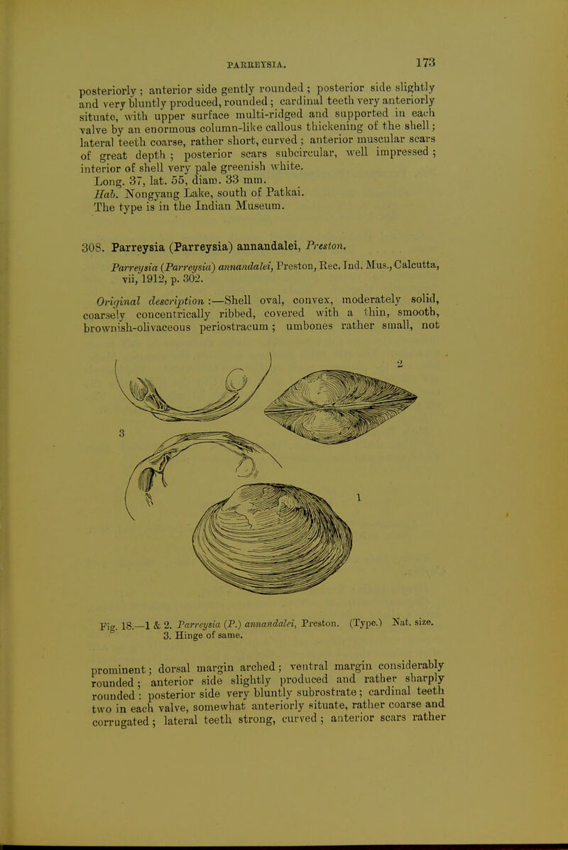 PAItliEI'SIA. posteriorly : anterior side gently rounded ; posterior side slightly and very bluntly produced, rounded; cardinal teeth very anteriorly situato, with upper surface multi-ridged and supported in each valve by an enormous column-like callous thickening of the shell; lateral teeth coarse, rather short, curved ; anterior muscular scars of great depth ; posterior scars subcircular, well impressed ; interior of shell very pale greenish white. Long. 37, lat. 55, diam. 33 mm. Hab. Nongyaug Lake, south of Patkai. The type is in the Indian Museum. 308. Parreysia (Parreysia) annandalei, Preston. Parrei/sia {Parreysia) annandalei, Preston, Rec. Ind. Mus., Calcutta, vii,'l912, p. 302. Original description :—Shell oval, convex, moderately solid, coarsely concentrically ribbed, covered with a thin, smooth, brownish-olivaceous periostracum ; umbones rather small, not -pl(r 18.—1 & 2. Parreysia (P.) annandalei, Preston. (Type.) Nat, size. 3. Hinge of same. prominent; dorsal margin arched; ventral margin considerably rounded; anterior side slightly produced aud rather sharply rounded: posterior side very bluntly subrostrate; cardinal teeth two in each valve, somewhat anteriorly situate, rather coarse and corrugated; lateral teeth strong, curved; anterior scars rather