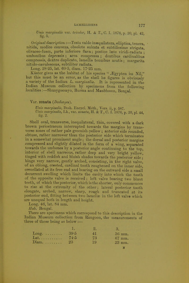 Unio marginalis var. tricolor, II. & T., 0. I. 1870 p 20 pi 42 fig. 5. Original description :—Testa vakle inaequilatera, ellipfcica, tenera, nitida, modice convexa, obsolete sulcata et subtilissime striata, olivaceo-fusca, parte inferiore flava; postice laete viridi-radiata ; umbonibus depressis ; area coinpressa ; dentibus cardinalibus compressis, dextro duplicato, lamellis tenuibus acutis ; margarita nitido-caBrulescens, subtiliter radiata. Long. 2S-25, lat. 60-5, diain. 17-25 mm. Kiister gives as tbe babitat of bis species '; iEgypten im Nil, but tbis must be an error, as tbe sbell he figures is obviously a variety of the Indian L. marginalis. It is represented in the Indian Museum collection by specimens from the following localities :—Shuaygoomyo, Burma and Manbhoom, Bengal. Var. zonata (DesJtayes). Unio marginalis, .Desh. Encycl. Meth., Vers, ii, p. 587. Unio marginalis, Lk., var. zonata, H. & T., C. I. 1876, p. 20, pi. 44 fig. 2. Shell oval, transverse, inequilateral, thin, covered with a dark brown periostracum interrupted towards the margins by trans- verse zones of rather pale greenish-yellow ; anterior side rounded, obtuse, rather narrower than the posterior side which terminates in a somewhat prominent angle ; the dorsal and posterior margins compressed and slightly dilated in the form of a wing, separated towards the umbones by a posterior angle continuing to the top, interior of shell nacreous, rather deep and very bright yellow, tinged with reddish and bluish shades towards the posterior side; hinge very narrow, gently arched, consisting, in the right valve', of an oblong, crested, cardinal tooth roughened on the inner side, crenellated at its free end and bearing on the outward side a small decurrent swelling which limits the cavity into which the tooth of the opposite valve is received ; left valve bearing two blunt teeth, of which the posterior, which is the shorter, only commences to rise at the extremity of the other; lateral posterior tooth elongate, arched, narrow, sharp, rough and truncated at its posterior end, fitting between two lameite in the left valve which are unequal both in length and height. Long. 46, lat. 84 mm. Hub. Bengal. There are specimens which correspond to this description in tbe Indian Museum collection from Rangoon, the measurements of three of these being as below :— 1. 2. 3. Long 39-5 41 36 mm. Lat 74-5 73 67 mm. Diam 23 19 23 mm.