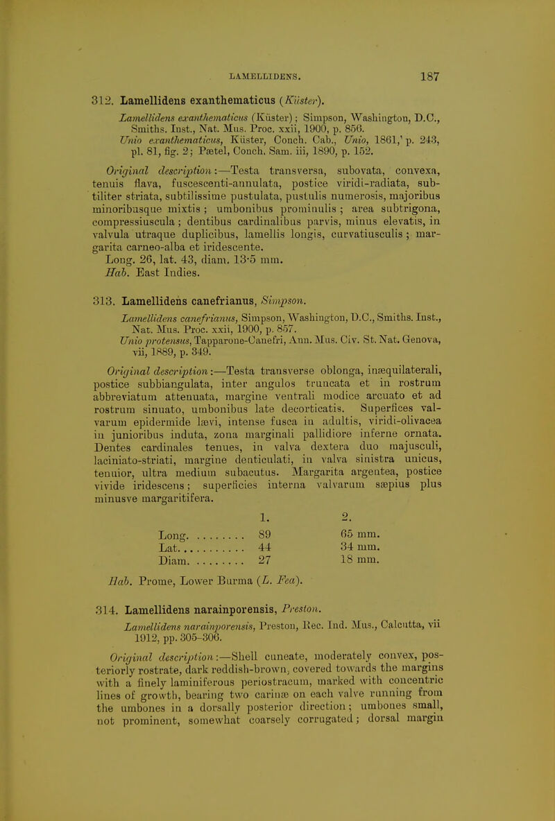 312. Lamellidens exanthematicus (Kiister). Lamellidens exanthematicus (Kiister); Simpson, Washington, D.C., Smiths. Inst., Nat. Mas. Proc. xxii, 1900, p. 856. JJnio exanthematicus, Kiister, Conch. Cab., JJnio, 1861,' p. 243, pi. 81, fig. 2; Psetel, Conch. Sam. iii, 1890, p. 152. Original description:—Testa transversa, subovata, convexa, tenuis flava, fuscescenti-annulata, postice viridi-radiata, sub- tiliter striata, subfcilissime pustulata, pustulis numerosis, majoribus minoribusque mixtis ; umbonibus prominulis ; area subtrigona, compressiuscula; dentibus cardinalibus parvis, minus elevatis, in valvula utraque duplicibus, lamellis longis, curvatiusculis ; rnar- garita carneo-alba et iridescente. Long. 26, lat. 43, diam. 13-5 mm. Hob. East Indies. 313. Lamellidens canefrianus, Simpson. Lamellidens canefrianus, Simpson, Washington, D.C., Smiths. Inst., Nat. Mus. Proc. xxii, 1900, p. 857. JJnio protensus, Tapparoue-Canefri, Ann. Mas. Civ. St. Nat. Genova, vii, 1889, p. 349. Original description:—Testa transverse oblonga, insequilaterali, postice subbiangulata, inter angulos truucata et in rostrum abbreviation attenuata, margine ventrali modice arcuato et ad rostrum sinuato, umbonibus late decorticatis. Superfices val- varum epiclerinide lsevi, intense fusca in adultis, viridi-olivacea in junioribus induta, zona marginali pallidiore inferne ornata. Dentes cardinales tenues, in valva dextera duo raajusculi, laciniato-striati, margine denticulati, in valva sinistra unicus, tenuior, ultra medium subacutus. Margarita argeutea, postice vivide iridescens; superficies interna valvarum ssepius plus minusve margaritifera. Hah. Prome, Lower Burma (L. Fea). 314. Lamellidens narainporensis, Preston. Lamellidens narainporensis, Preston, liec. Ind. Mus., Calcutta, vii 1912, pp. 305-306. Original description:—Shell cuneate, moderately convex, pps- teriorly rostrate, dark reddish-brown, covered towards the margins with a finely laminiferous periostracum, marked with concentric lines of growth, bearing two carina) on each valve running from the umbones in a dorsally posterior direction; umboues small, not prominent, somewhat coarsely corrugated; dorsal margin 1. Long. Lat.. Diam. 89 44 27 65 mm. 34 mm. 18 mm.