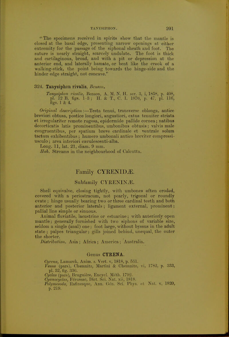 The specimens received in spirits show that the mantle is closed at the basal edge, presenting narrow openings at either extremity for the passage of the siphonal sheath and foot. The suture is nearly straight, scarcely undulate. The foot is thick and cartilaginous, broad, and with a pit or depression at the anterior end, and laterally hamate, or bent like the crook of a walking-stick, the point being towards the hinge-side and the hinder edge straight, not concave. 324. Tanysiphon rivalis, Benson. Tanysiphon rivalis, Benson, A. M. N. H. ser. 3, i, 1858, p. 408, pi. 12 B, figs. 1-3 ; H. & T., C. I. 1876, p. 47. pi. 116, tigs. 1 «fe 4. Original description:—Testa tenui, transverse oblonga, antice breviori obtusa, postice longiori, angustiori, extus tenuiter striata et irregulariter remote rugosa, epiderraide pallide cornea; natibus decorticatis latis prominentibus, umbonibus obtusis; valvis male congruentibus, per spatinm breve cardinale et ventrale solum tactum exhibentibus ; humero umbonali antico breviter compressi- usculo; area interiori cserulescenti-alba. Long. 11, lat. 21, diam. 9 mm. Hob. Streams in the neighbourhood of Calcutta. Family CYRENIDiE. Subfamily CYKENINiE. Shell equivalve, closing tightly, with umbones often eroded, covered with a periostracum, not pearly, trigonal or roundly ovate ; hinge usually bearing two or three cardinal teeth and both anterior and posterior laterals ; ligament external, prominent; pallial line simple or sinuous. Animal fluviatile, lacustrine or estuarine ; with anteriorly open mantle; generally furnished with two siphons of variable size, seldom a single (anal) one; foot large, without byssus in the adult state ; palpes triangular; gills joined behind, unequal, the outer the snorter. Distribution. Asia; Africa; America; Australia. Genus CYKENA. C'yrena, Lamarck, Anim. s. Vert, v, 1818, p. 551. Venus (pars), Chemnitz, Martini & Chemnitz, vi, 17f>2, p. 333, pi. 32, fig. 3.'3ii. Cyclas (pars), Hruguiere, Encycl. Meth. 1792. Cyanocyclas, Ferussac, Diet. Sci. Nat. xii, 1818. Tolymesoda, Rafinesque, Ann. Gen. Sri. Phys. et Nat. v, 1820, p. 219.