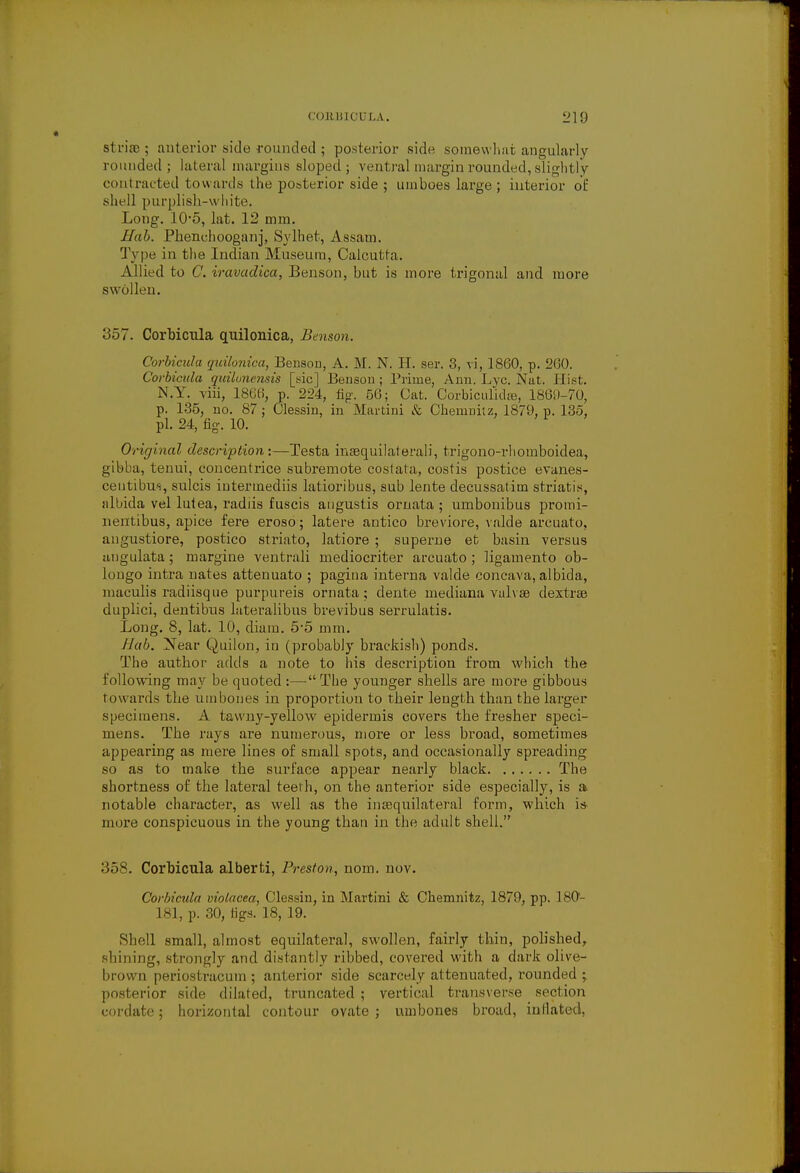 Btv'm ; anterior side rounded ; posterior side somewhat angularly rounded; lateral margins sloped; ventral margin rounded, slightly contracted towards the posterior side ; umboes large; interior of shell purplish-white. Long. lOo, hit. 12 mm. Hub. Phenehooganj, Sylhet, Assam. Type in the Indian Museum, Calcutta. Allied to C. iravadica, Benson, but is more trigonal and more swollen. 357. Corhicula quilonica, Benson. Corbicula quihmica, Benson, A. M. N. H. ser. 3, vi, 1860, p. 2(30. Corbicula quilonensis [sic] Benson ; Prime, Ann. Lye. Nut. Hist. N.Y. viii, 1866, p. 224, fig. 56; Cat. Corbiculid», 1869-70, p. 135, no. 87; Clessin, in Martini & Chemnitz, 1870, p. 135, pi. 24, fig. 10. Original description:—Testa inequilateral)', trigono-rhomboidea, gibba, tenui, concentrice subremote costata, costis postice evanes- centibus, sulcis intermediis latioribus, sub lente decussatim striatis, albida vel lutea, radiis fuscis angustis ornata ; umbonibus promi- nentibus, apice fere eroso; latere antico breviore, valde arcuato, angustiore, postico striato, latiore ; superue efc basin versus angulata; margine ventrali mediocriter arcuato; ligamento ob- lougo intra uates atteuuato ; pagina interna valde concava, albida, maculis radiisque purpureis ornata; dente mediana vulvae dextrsa duplici, dentibus lateralibus brevibus serrulatis. Long. 8, lat. 10, diain. 5-5 mm. Hab. Near Quilon, in (probably brackish) ponds. The author adds a note to his description from which the following may be quoted :— The younger shells are more gibbous towards the umbones in propoi'tiou to their length than the larger specimens. A tawny-yellow epidermis covers the fresher speci- mens. The rays are numerous, more or less broad, sometimes appearing as mere lines of small spots, and occasionally spreading so as to make the surface appear nearly black The shortness of the lateral teeth, on the anterior side especially, is a notable character, as well as the inequilateral form, which is more conspicuous in the young than in the adult shell. 358. Corbicula alberti, Preston, nom. nov. Corbicula violacea, Clessin, in Martini & Chemnitz, 1870, pp. 180- 181, p. 30, figs. 18, 19. Shell small, almost equilateral, swollen, fairly thin, polished, shining, strongly and distantly ribbed, covered with a dark olive- brown periostracum; anterior side scarcely attenuated, rounded ; posterior side dilated, truncated ; vertical transverse section cordate; horizontal contour ovate; umbones broad, in Hated,