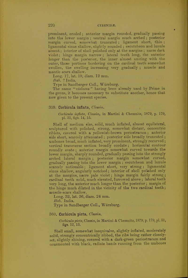 prominent, eroded ; anterior margin rounded, gradually passing into the lower margin ; ventral margin much arched ; posterior margin curved, somewhat truncated ; ligament short, thin ; ligamental sinus shallow, slightly rounded ; escutcheon and lunule absent; interior of shell polished only at the margins ; nacre dark violet; hinge margin narrow; lateral teeth long, tlie anterior longer than the posterior, the inner almost uniting with the outer, those portions bordering on the cardinal teeth somewhat swollen, the swelling increasing very gradually ; muscle and mantle scars shallow. Long. 17, lat. 19, diam. 12 mm. Bab. ? India. Type in Sandberger Coll., Wurzburg. The name  violacea  having been already used by Prime in the genus, it becomes necessary to substitute another, hence that now given to the present species. 359. Corbicula inflata, CUssin. Corbicula injlata, Clessin, in Martini & Chemnitz, 1879, p. 179, pi. 31, figs. 14, 15. Shell of medium size, solid, much inflated, almost equilateral, sculptured with polished, strong, somewhat distant, concentric riblets, covered with a yellowish-brown periostracum ; anterior side short, scarcely attenuated ; posterior side broadly truncated ; umbones broad, much inflated, very prominent, strongly recurved ; vertical transverse section broadly cordate; horizontal contour roundly ovate ; anterior margin somewhat curved towards the lower margin, sharply rounded, gradually passing into the strongly arched lateral margin ; posterior margin somewhat curved, gradually passing into the lower margin ; escutcheon and lunule scarcely noticeable; ligament short, very strong ; ligamental sinus shallow, angularly notched; interior of shell polished only at the margins, nacre pale violet; hinge margin fairly strong ; cardinal teeth solid, much elevated, furrowed above ; lateral teeth very long, the anterior much longer than the posterior ; margin of the hinge much dilated in the vicinity of the two cardinal teeth; muscle-scars shallow. Long. 32, lat. 36, diam. 24 mm. Bab. India. Type in Sandberger Coll., Wiirzburg. 360. Corbicula picta, Clessin. Corbicula picta, Clessin, in Martini & Chemnitz, 1879, p. 179, pi. 31, figs. 12, 13. Shell small, somewhat iuequivalve, slightly inflated, moderately solid, strongly concentrically ribbed, the ribs being rather closely- sct, slightly shining, covered with a dark-green periostracum and ornamented with black, radiate bands running from the umbones