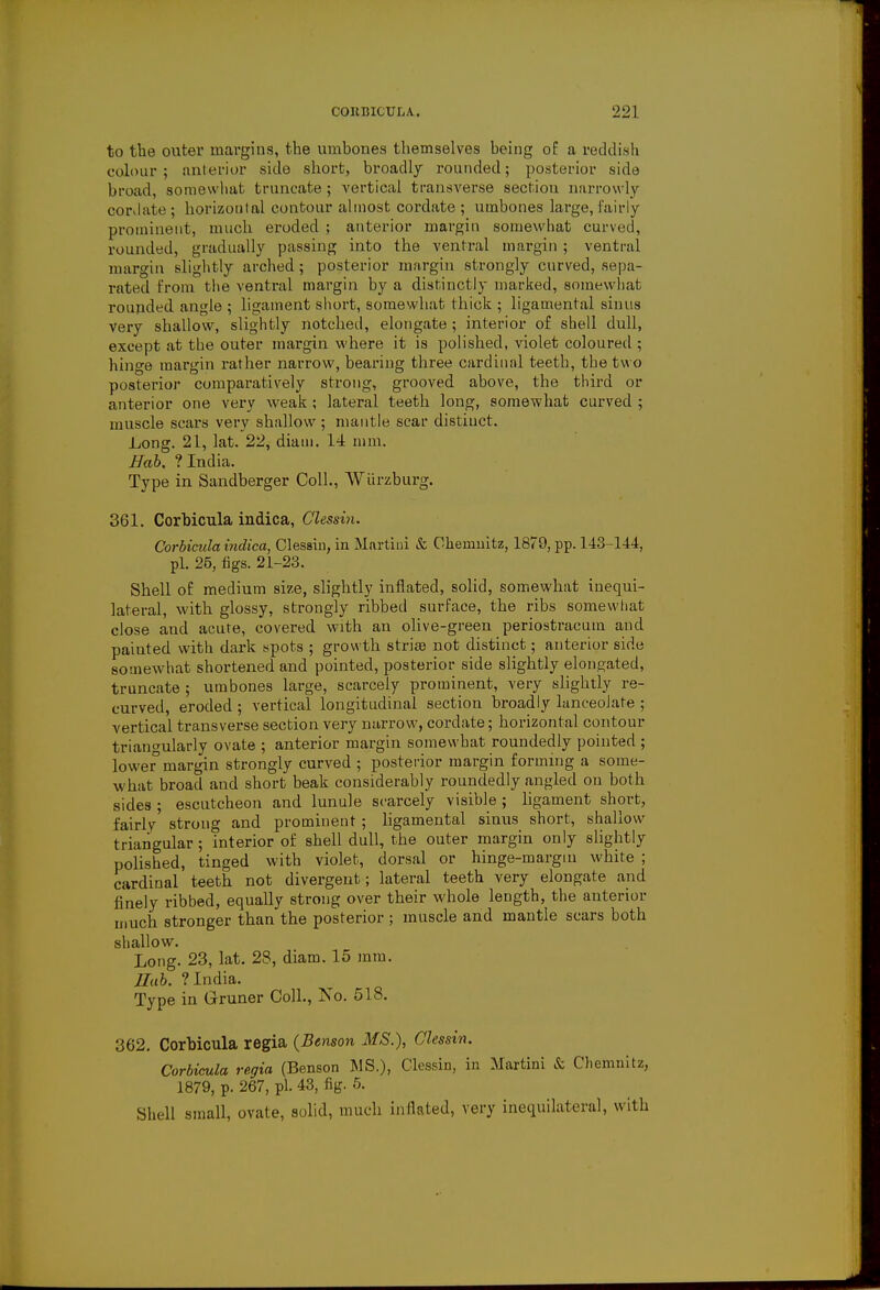 to the outer margins, the umbones themselves being of a reddish colour; anterior side short, broadly rounded; posterior side broad, somewhat truncate ; vertical transverse section narrowly cordate ; horizontal contour almost cordate ; umbones large, fairly prominent, much eroded ; anterior margin somewhat curved, rounded, gradually passing into the ventral margin ; ventral margin slightly arched; posterior margin strongly curved, sepa- rated from the ventral margin by a distinctly marked, somewhat rounded angle ; ligament short, somewhat thick ; ligamental sinus very shallow, slightly notched, elongate ; interior of shell dull, except at the outer margin where it is polished, violet coloured ; hinge margin rather narrow, bearing three cardinal teeth, the two posterior comparatively strong, grooved above, the third or anterior one very weak ; lateral teeth long, somewhat curved ; muscle scars very shallow; mantle scar distinct. Long. 21, lat. 22, diam. 14 mm. Bab. ? India. Type in Sandberger Coll., Wurzburg. 361. Corbicula indica, Clessin. Corbicula indica, Clessin, in Martini & Chemnitz, 1879, pp. 143-144, pi. 25, figs. 21-23. Shell of medium size, slightly inflated, solid, somewhat inequi- lateral, with glossy, strongly ribbed surface, the ribs somewhat close and acute, covered with an olive-green periostracum and painted with dark spots ; growth striae not distinct; anterior side somewhat shortened and pointed, posterior side slightly elongated, truncate ; umbones large, scarcely prominent, very slightly re- curved, eroded ; vertical longitudinal section broadly lanceolate ; vertical transverse section very narrow, cordate; horizontal contour triangularly ovate ; anterior margin somewhat roundedly pointed ; lower3 margin strongly curved ; posterior margin forming a some- what broad and short beak considerably roundedly angled on both sides ; escutcheon and lunule scarcely visible ; ligament short, fairly strong and prominent; ligamental sinus short, shallow triangular; interior of shell dull, the outer margin only slightly polished, tinged with violet, dorsal or hinge-margin white ; cardinal teeth not divergent; lateral teeth very elongate and finely ribbed, equally strong over their whole length, the anterior much stronger than the posterior ; muscle and mantle scars both shallow. Long. 23, lat. 28, diam. 15 mm. Hub. ? India. Type in Grruner Coll., No. 518. 362. Corbicula regia (Benson MS.), Clessin. Corbicula regia (Benson MS.), Clessin, in Martini & Chemnitz, 1879, p. 267, pi. 43, fig. 5. Shell small, ovate, solid, much inflated, very inequilateral, with