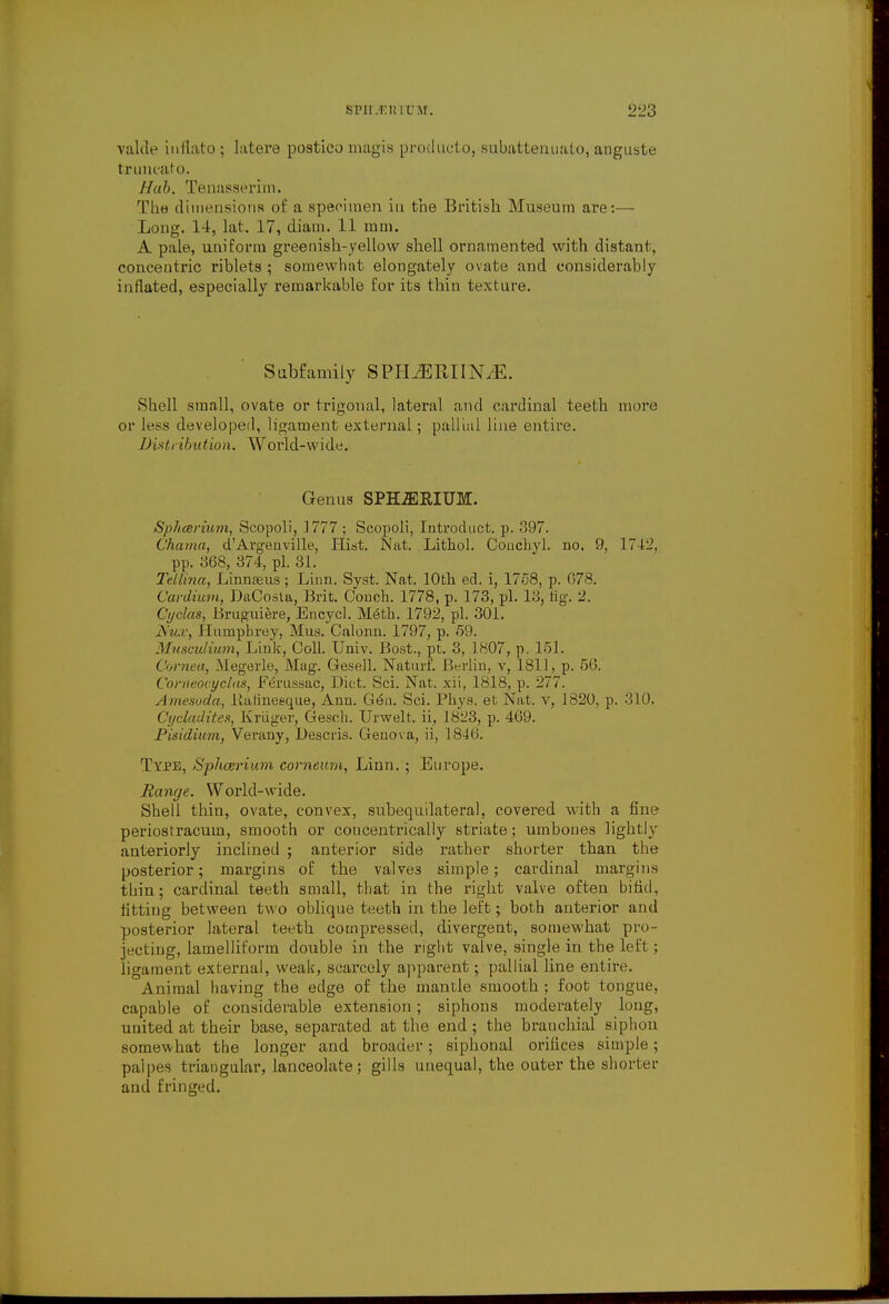 valde inflato ; latere postico magis producto, subattenualo, anguste truncate. Ilah. Tenasserim. The. dimensions of a specimen in the British Museum are:— Long. 14, lat. 17, diam. 11 mm. A pale, uniform greenish-yellow shell ornamented with distant, concentric riblets ; somewhat elongately ovate and considerably inflated, especially remarkable for its thin texture. Subfamily SPH^EEJIN/E. Shell small, ovate or trigonal, lateral and cardinal teeth more or less developed, ligament external ; pallial line entire. Distribution. World-wide. Genus SPHjERIUM. Sphcerium, Scopoli, 1777 ; Scopoli, Introduct. p. 397. C'hama, dArgenville, Hist. Nat. Lithol. Concbyl. no. 9, 1742, pp. 868, 374, pi. 31. Tetlina, Lhmajus; Linn. Syst. Nat. 10th ed. i, 1758, p. 078. Cardium, DaCosta, Brit. Couch. 1778, p. 173, pi. 13, tig. 2. Cyclas, Bruguiere, Encycl. M<§th. 1792, pi. 301. jS'ii.v, Humphrey, Mus. Calonn. 1797, p. 59. Musculium, Link, Coll. Univ. Bost., pt. 3, 1807, p. 151. Cornea, Megerle, Mag. Gesell. Naturf. Berlin, v, 1811, p. 56. Corneocyclas, Femssac, Diet. Sci. Nat. xii, 1818, p. 277. Amesoda, iiaHneeque, Ann. Gen. Sci. Phys. et Nat. v, 1820, p. 310. ('ycladites, Kriiger, Gesch. Urwelt. ii, 1823, p. 469. Pisidium, Verany, Descris. Genova, ii, 184(i Type, Sphcerium comeum, Linn. ; Europe. Range. World-wide. Shell thin, ovate, convex, subequilateral, covered with a fine periostracum, smooth or coucentrically striate; umboues lightly anteriorly inclined ; anterior side rather shorter than the posterior; margins of the valve3 simple; cardinal margins thin; cardinal teeth small, that in the right valve often bifid, fitting between two oblique teeth in the left; both anterior and posterior lateral teeth compressed, divergent, somewhat pro- jecting, lamelliform double in the right valve, single in the left; ligament external, weak, scarcely apparent; pallial line entire. .Animal having the edge of the mantle smooth; foot tongue, capable of considerable extension; siphons moderately long, uuited at their base, separated at the end ; the branchial siphon somewhat the longer and broader; siphonal orifices simple; palpes triangular, lanceolate; gills unequal, the outer the shorter and fringed.