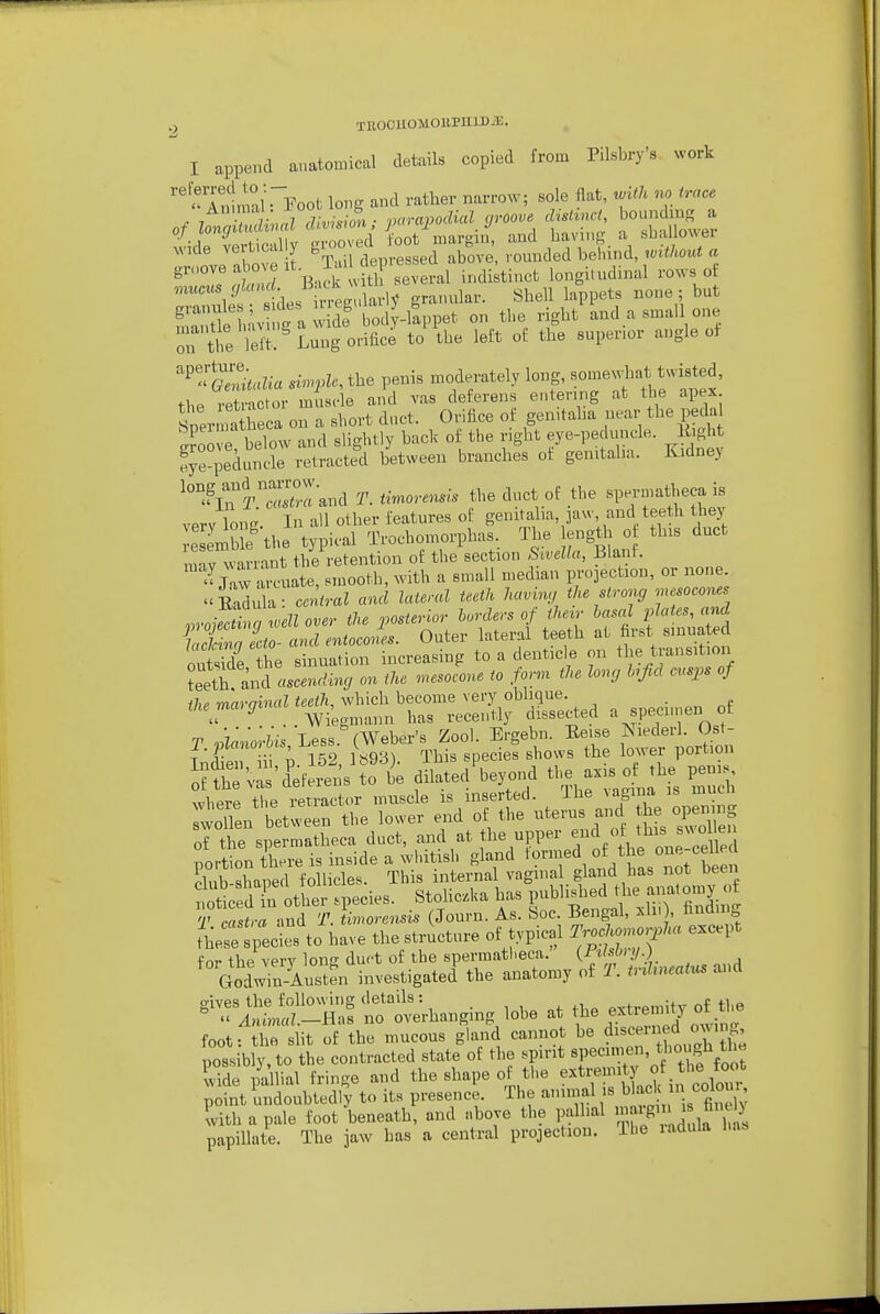 TBOOUOMOllPHlDiE. I append anatonncal details copied from Pilsbry's work '■'^'I^llmal-Foot long and rather narrow; sole flat, with no trace ^ 7 ?l-;,„7Tz/v;6'/on • parapodial groove distinct, boundiun; a <^rC::^Zt to^^^^ ^-^^d having a shallower wide vertical y 61° '^; .^^,^^ ^^b^ve, rounded behind, tvithout a groove above ^^f;^'^,,^ i.dikinct longi.ndinal rows of rl lies inegu arW granular. Shell lappets none ; but S:;;tt u v g a wide bod. inn-t. on the right and a smaU one r the lei Lung orifice to the left of the superior angle of « S«Zia sin^ple, the penis moderately long, f !f ^ed, vPtinctor muscle and vas deferens entering at the apex Sper S a ou a short duct. Orifice of genitalia near the peda Srome below and slightly back of the right eye-peduncle. Eight 5e ieduicle retracted between branches of genitaha. Kidney ^'^In r'aXand T. timorensis the duct of the spermatheca is very long. In all other i'eatures of genitalia, jaw and teeth they •e mbk the typical Trochomorphas. The ength o this duct mav warrant the retention of the section Sivella, Blanf. Jaw aiTuate, smooth, with a small median i^-ojection, or none '■EadulaC^mZ and lateral teeth havin,, the strong mesocoms ,,ro£thunvell over the posterior borders of their basal i^ates, and ^aSL- and entoJes. Outer lateral teeth at first^ smua ed ouSe ihe sinualion increasing to a denticle on the transition teeth and ascendvncj on the n.esocone to fonn the long hfid cusps of ■mn^-ninal teeth which become very oblique. {Vie^nann has recently dissected a specimen of T ^anorhis Less (Weber's Zool. Ergebn. Eeise Niederl. Ost- TnS i P 152, 1893). This species shows the lower portion o?SUs'deferens to 4 dilated beyond tl- -is oMhe penis whprf- the retractor muscle is inserted. Ihe vagina is mucn rwoTen bet veen the lower end of the uterus and the opening :Tte spermatheca duct, and at the upper -d o his s.^^^^^^^^^^^ portion there is inside a whitish gland '^d, ° /j^^^^^^^teen f-lub shaned follicles. This internal vaginal gland has not oeen noticed a othe^^ species. Stohc.ka has published the anat omy of i' «^Jand V Lore,m. (Journ. As. Soc. Bengal, xln , finding /herspecLs to have the structure of typical ^-^^--f« -^^^ for the very long duct of the spermatheca. (™'.'/-) ^ , Godwiu-Austen investigated the anatomy of T. tnhneatus and ^^^!^S-Sr^hanging lobe at the extremi^ foot: the sht of the mucous gland cannot be discern^ owing possibly, to the contracted state of the spirit \^'°^^^Vo^ vide Hlial fringe and the shape o the extremity of the fo^^^^^ point undoubtedly to its presence. The animal J^ ^.f ' ^^^^^^^^ with a pale foot beneath, and above the pallial '^^R' ' ^^^^ papillate. The jaw has a central projection. The ladula has
